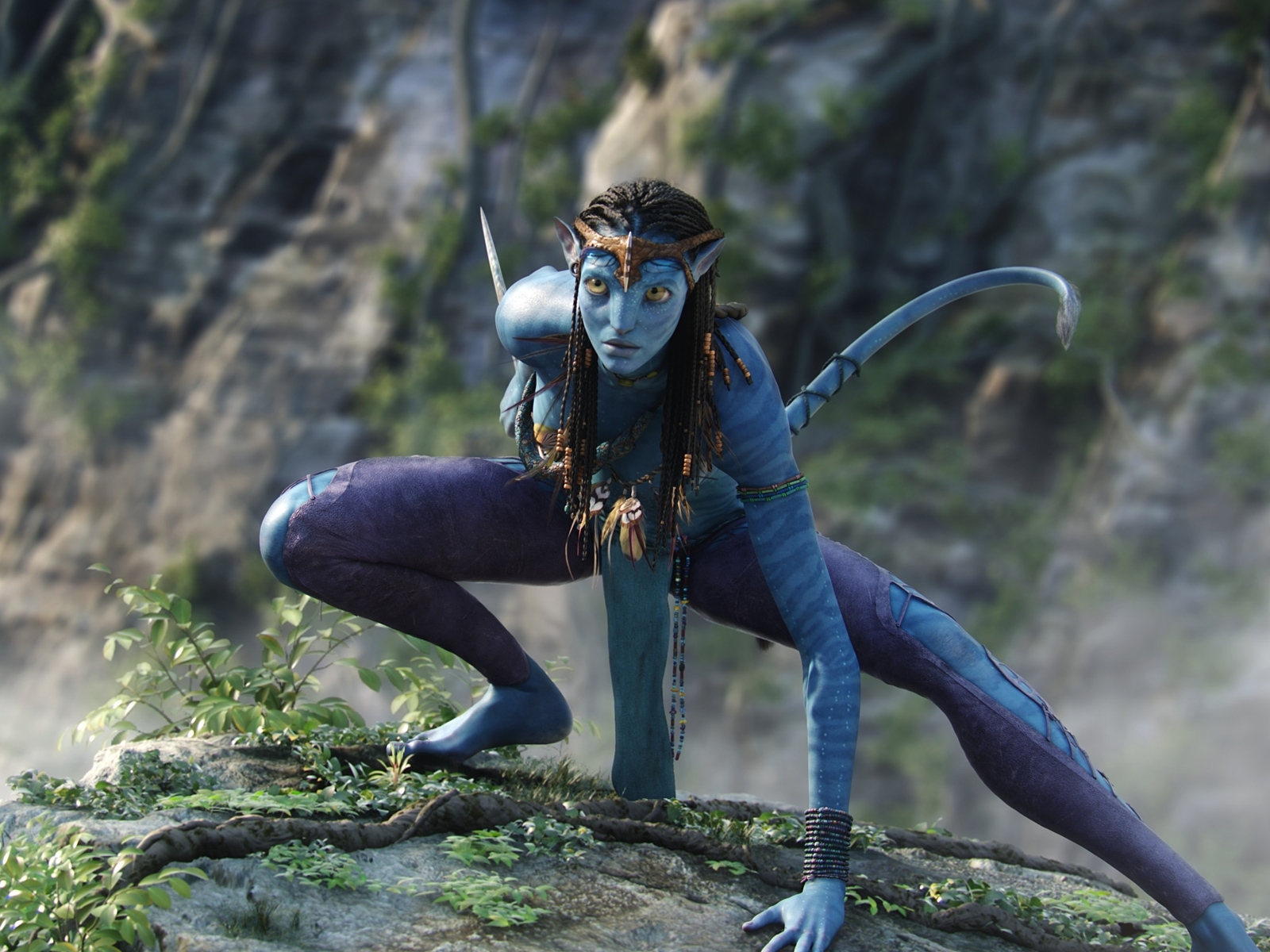Free Avatar Background