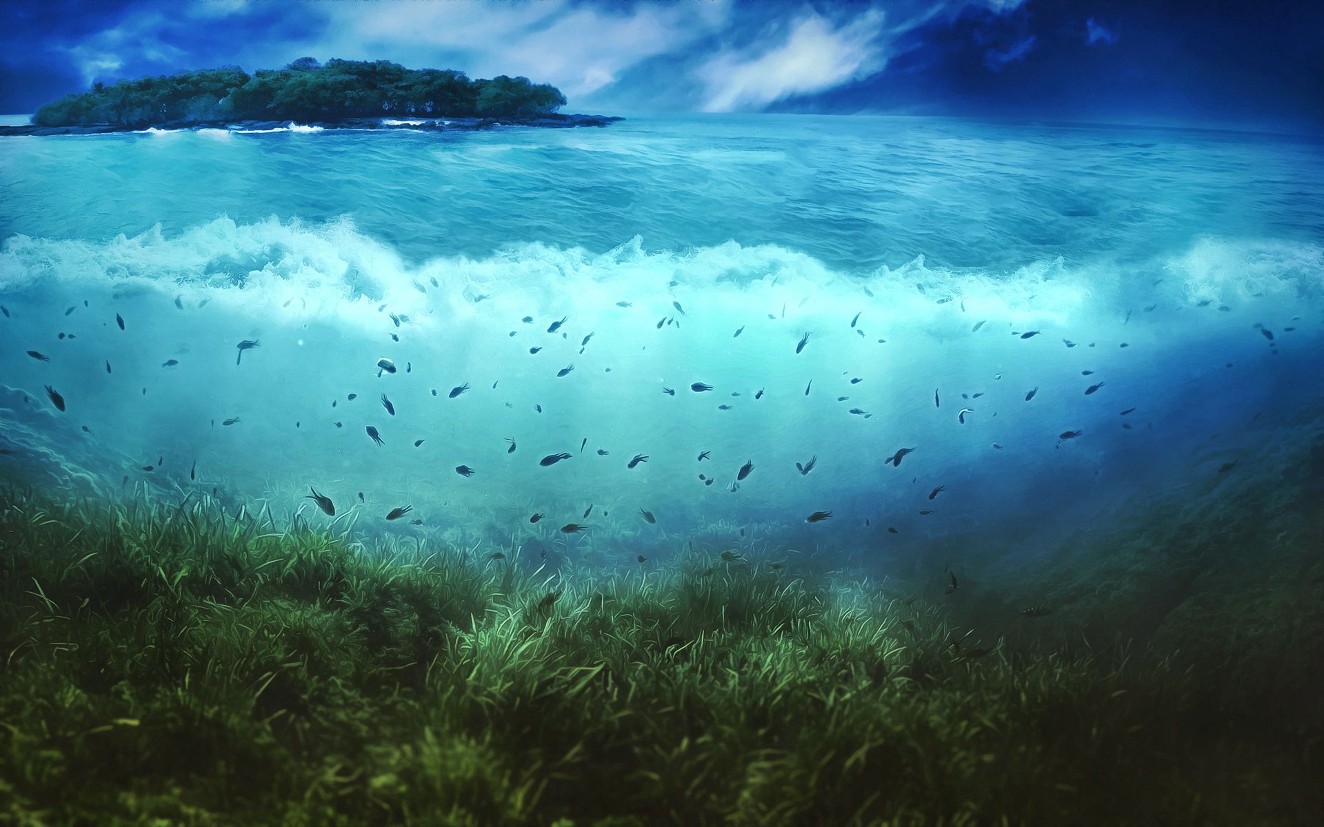 Laden Sie das Natur, Wasser, Kunst, Sea, Fische, Vegetation, Die Insel, Insel, Unterwasserwelt, Unteres, Unterseite-Bild kostenlos auf Ihren PC-Desktop herunter