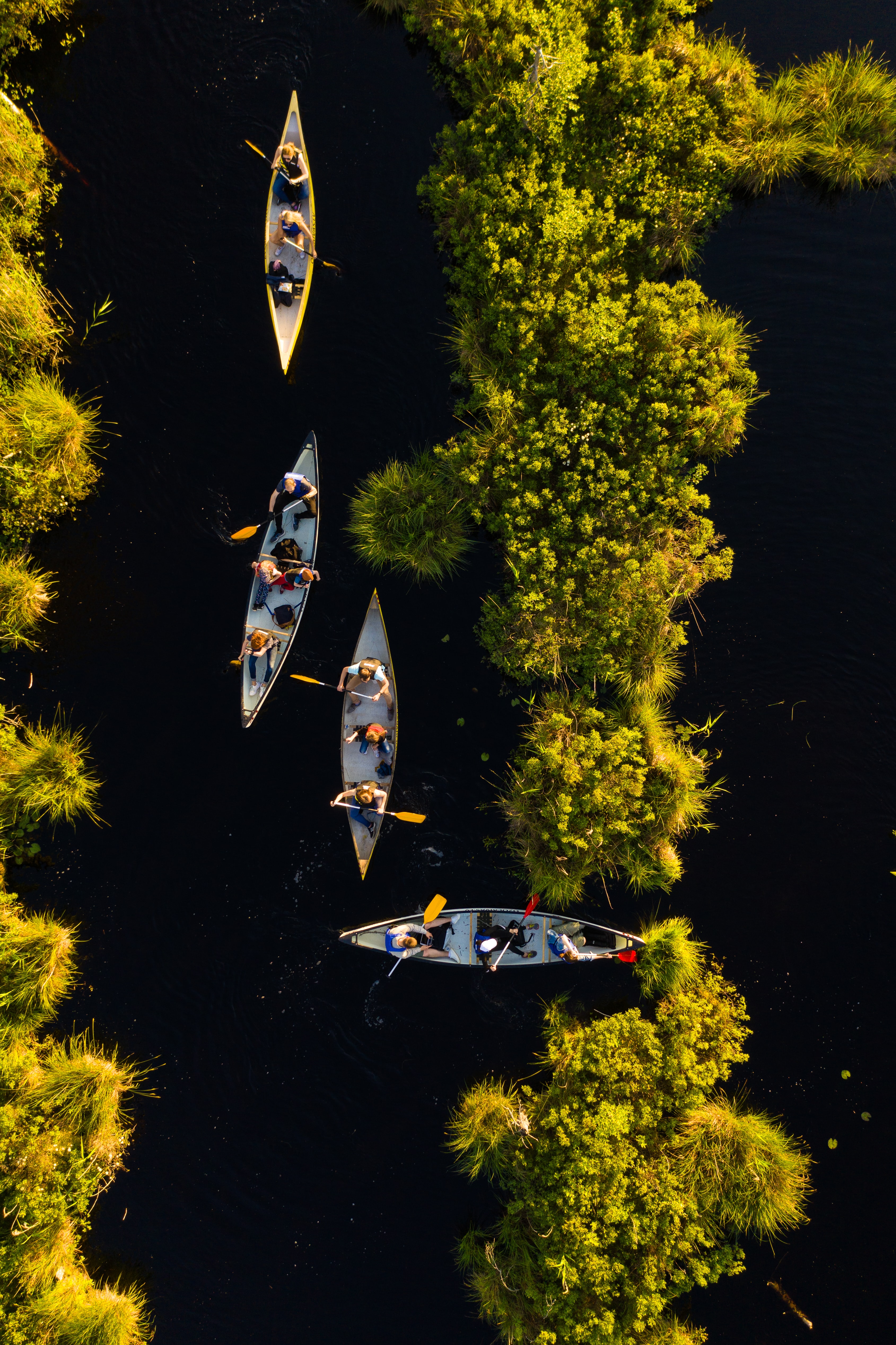 Mobile wallpaper boats, sports, rivers, view from above, kayaks