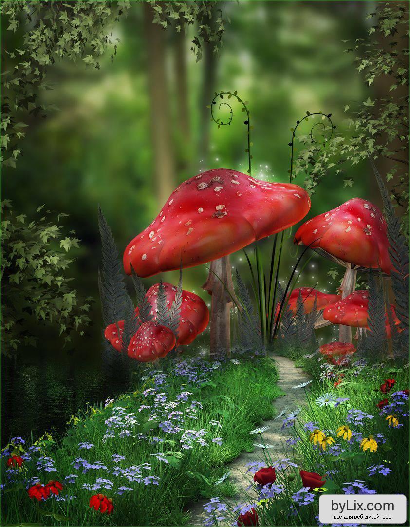 mashrooms, pictures, fantasy, green Full HD