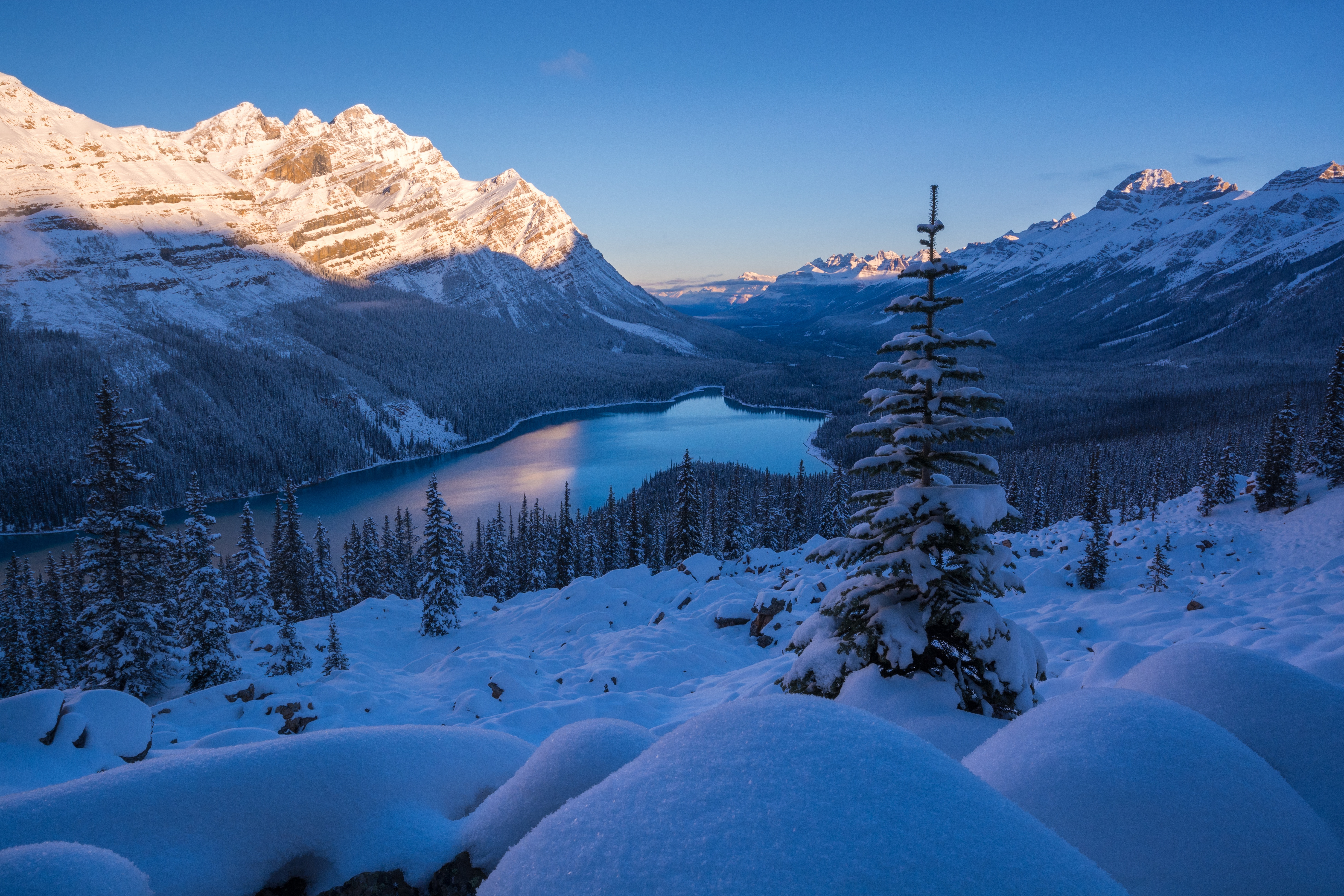 earth, banff national park, canada, lake, landscape, mountain, peyto lake, snow, winter, national park