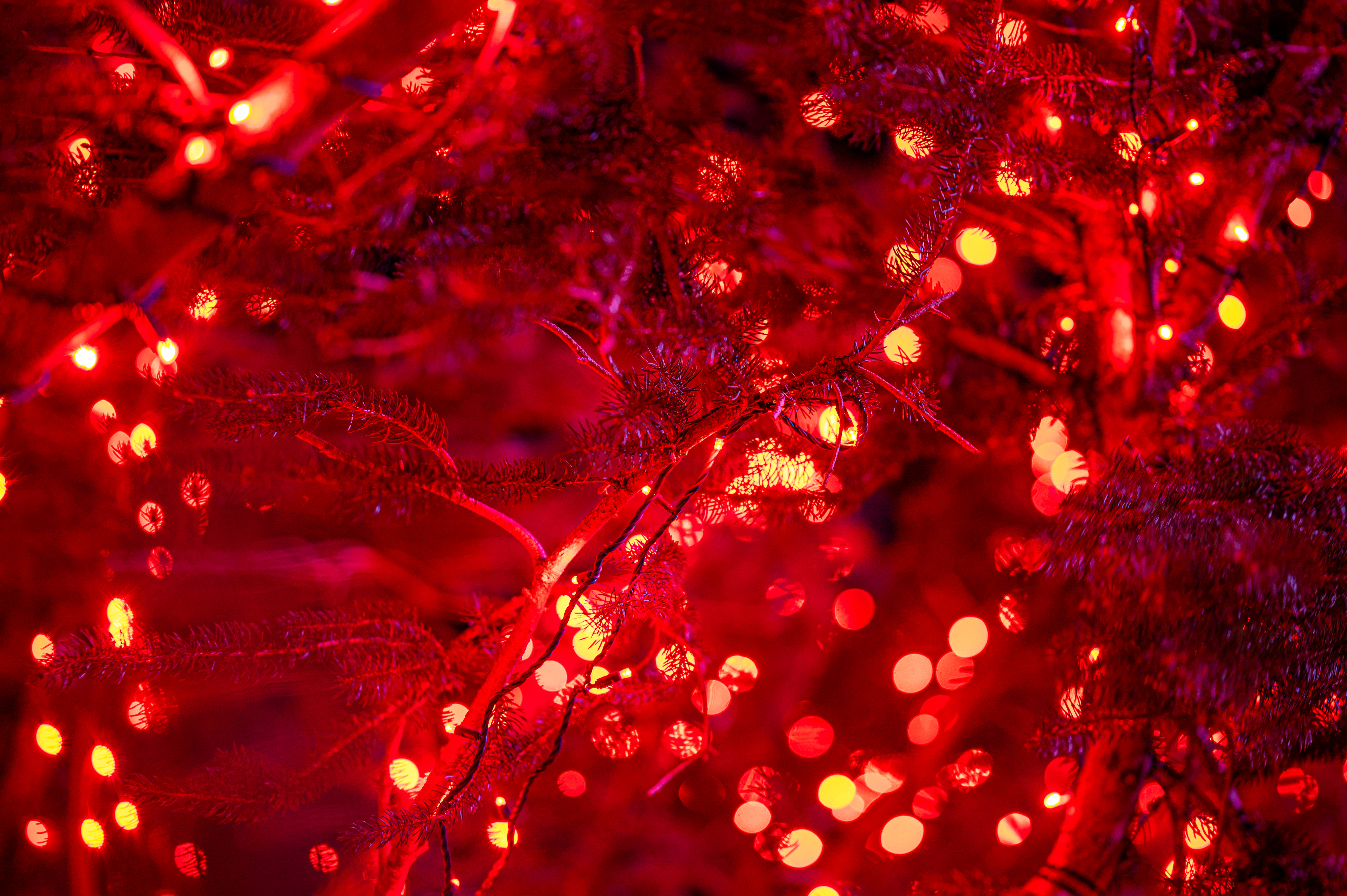 glow, christmas, new year, lights Square Wallpapers