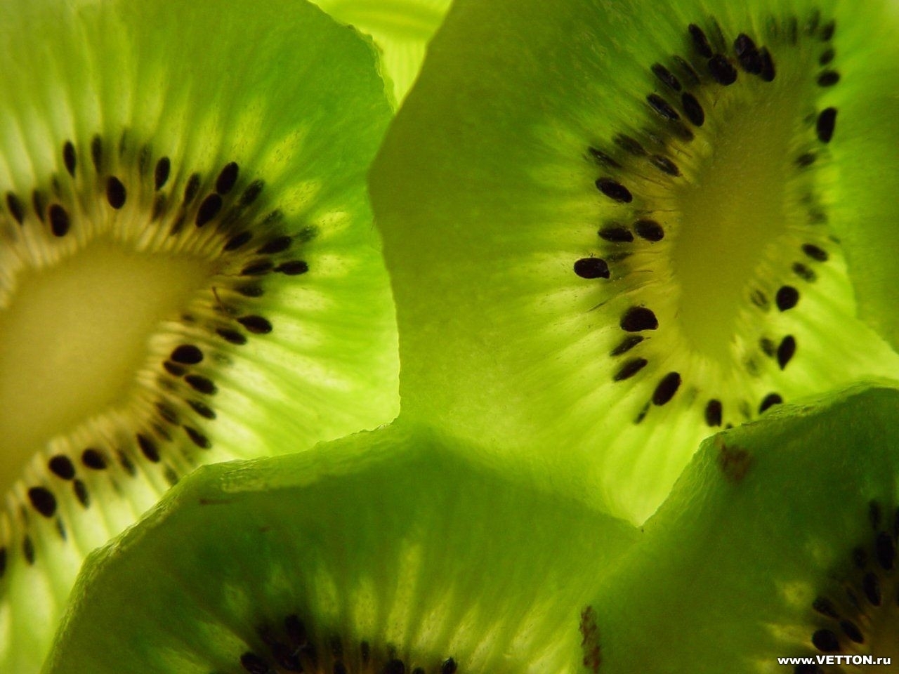 Handy-Wallpaper Obst, Lebensmittel, Hintergrund, Kiwi kostenlos herunterladen.