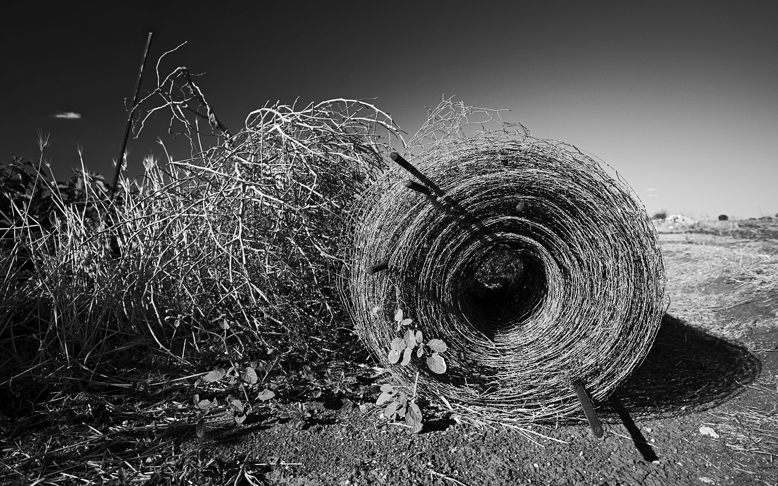 black and white, nature, hay, bale 5K
