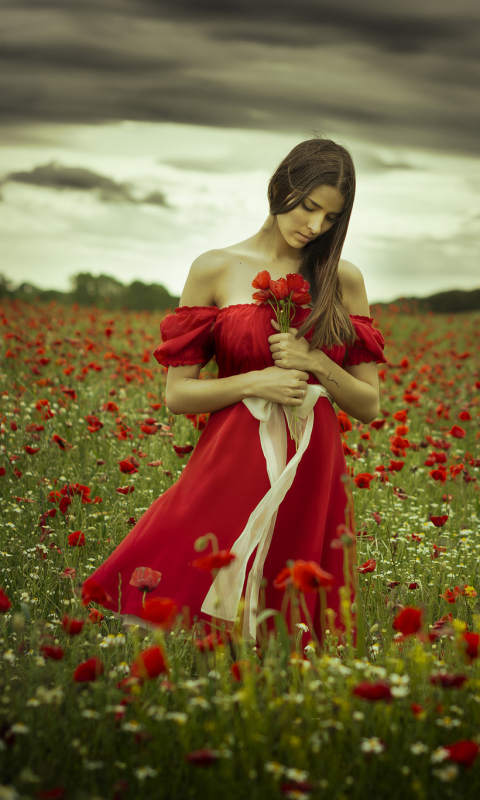 1080p pic flower, brunette, poppy, red flower