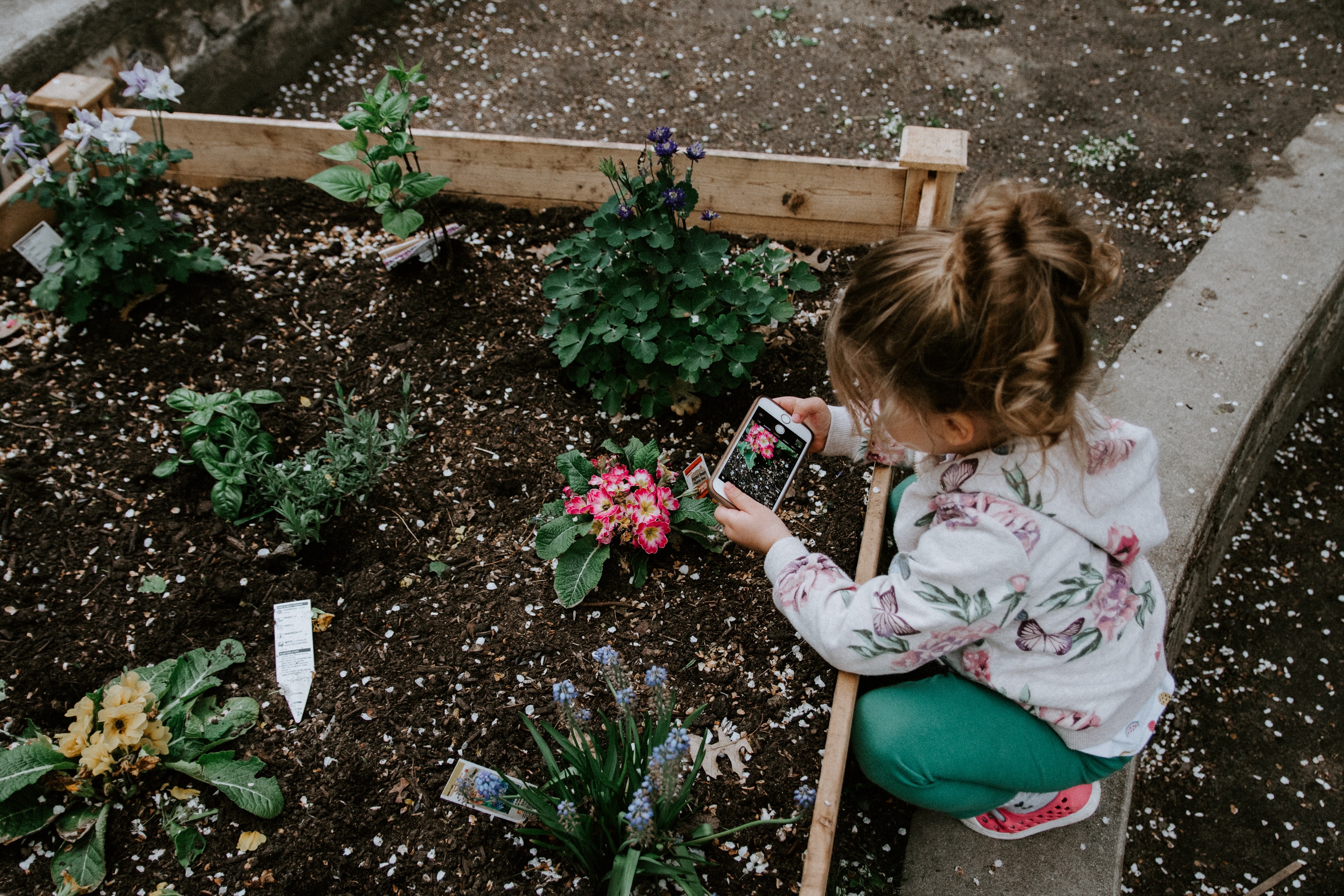 Phone Background Full HD photographer, child, flowerbed, flowers