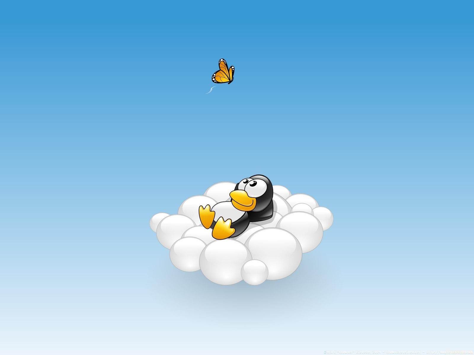7182 Hintergrundbild herunterladen bilder, pinguins, blau - Bildschirmschoner und Bilder kostenlos