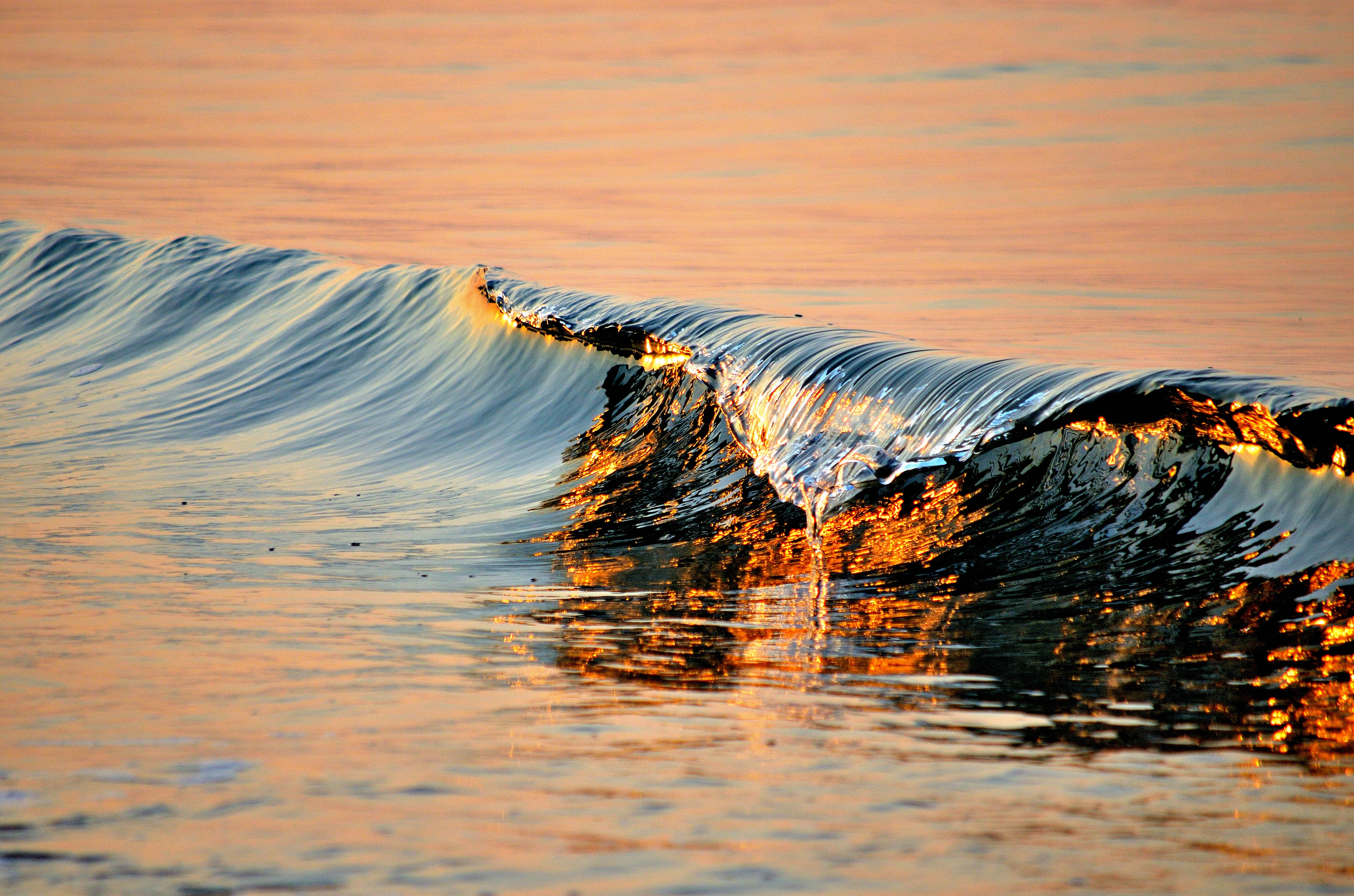 Laden Sie das Natur, Wasser, Sea, Surfen, Wellig, Welle-Bild kostenlos auf Ihren PC-Desktop herunter