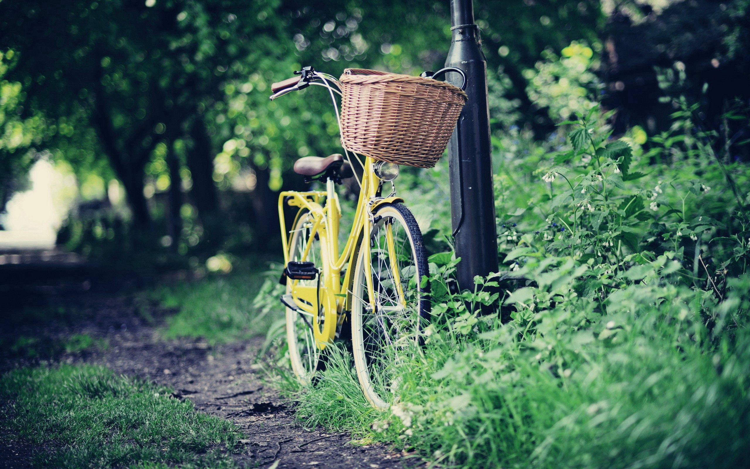 Handy-Wallpaper Fahrrad, Natur, Verschiedenes, Sonstige, Bummel, Spaziergang, Korb kostenlos herunterladen.