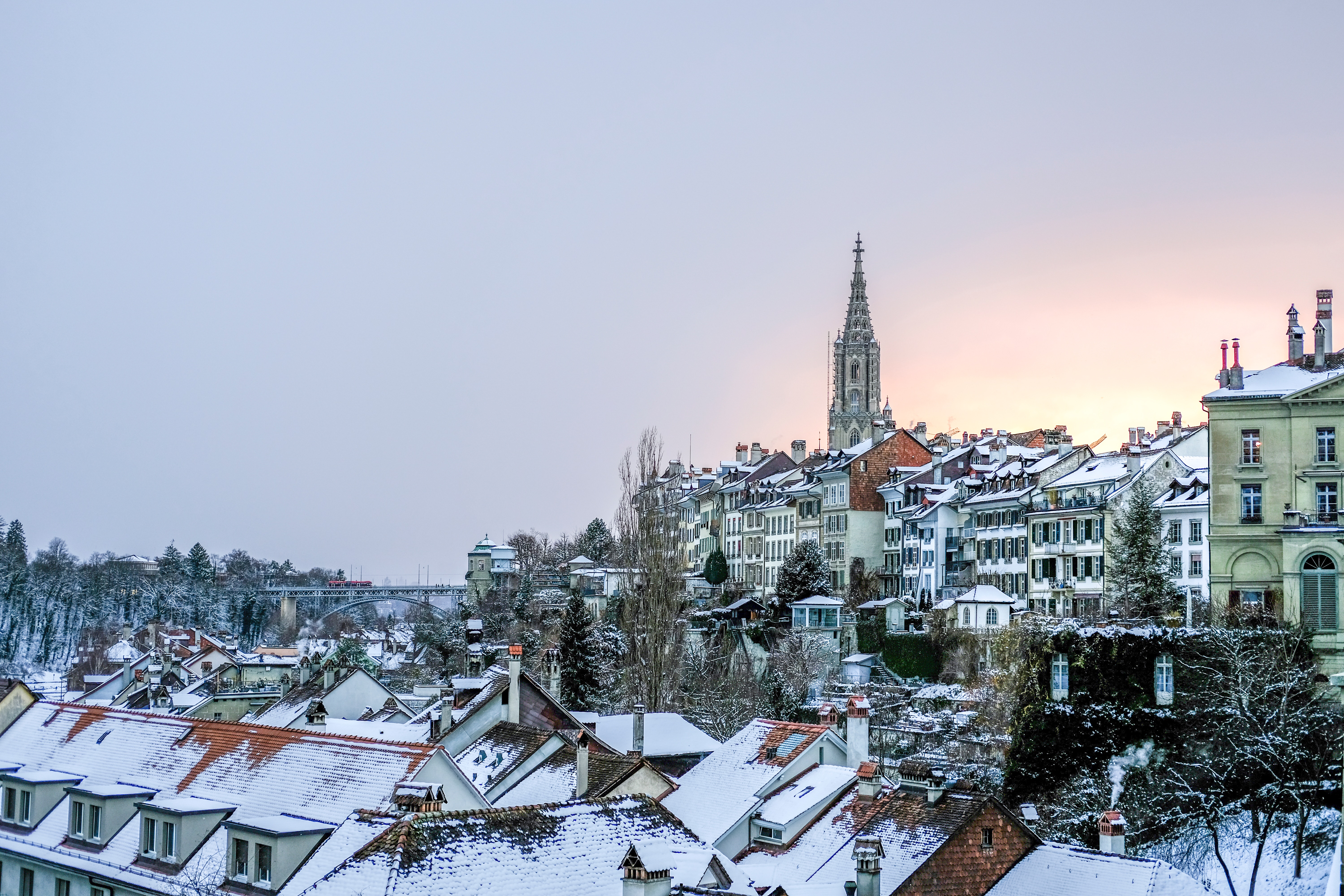 winter, roof, cities, snow, building, roofs Free Stock Photo