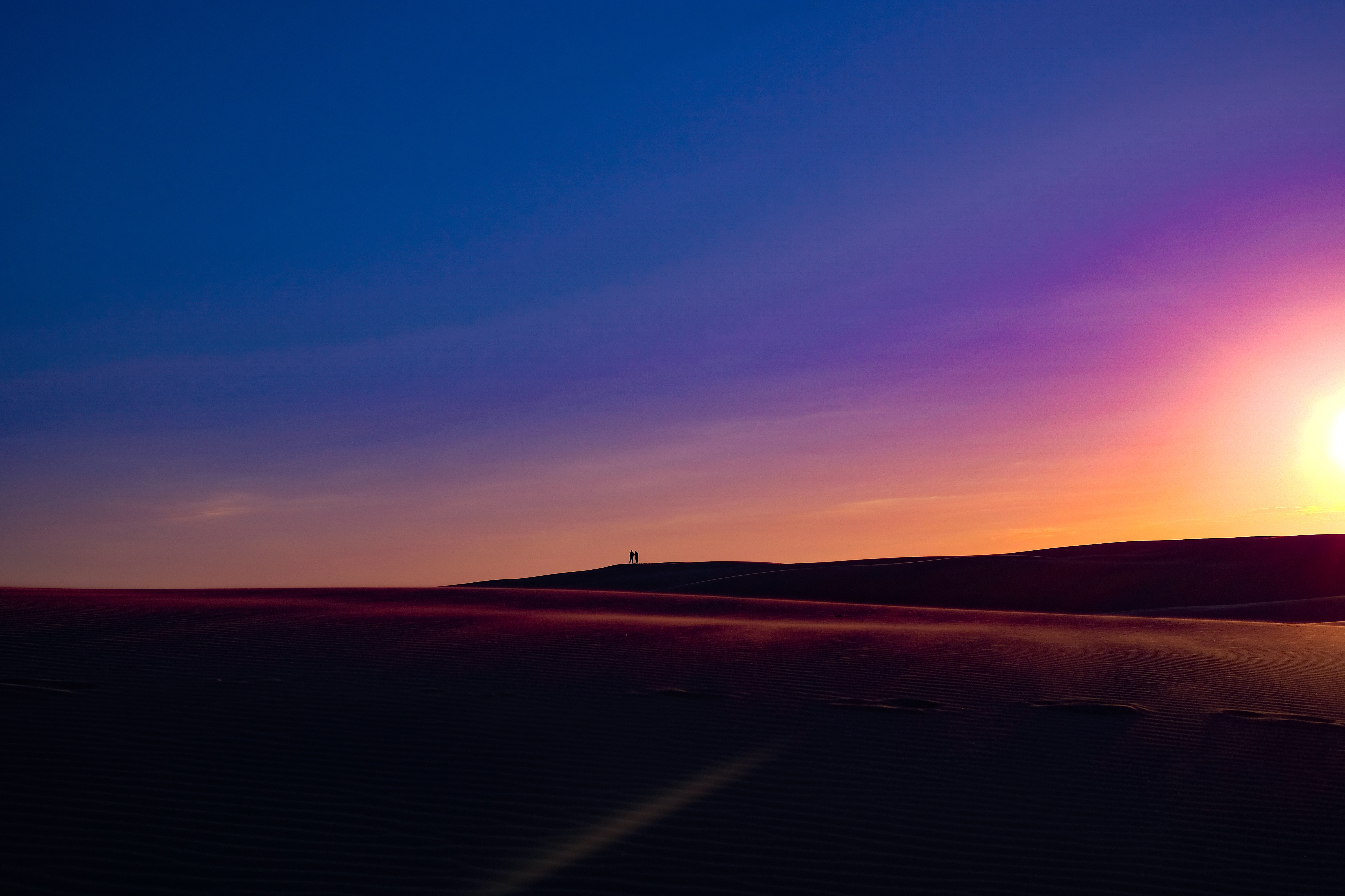 silhouettes, nature, sunset, sand, horizon, dunes, australia, links