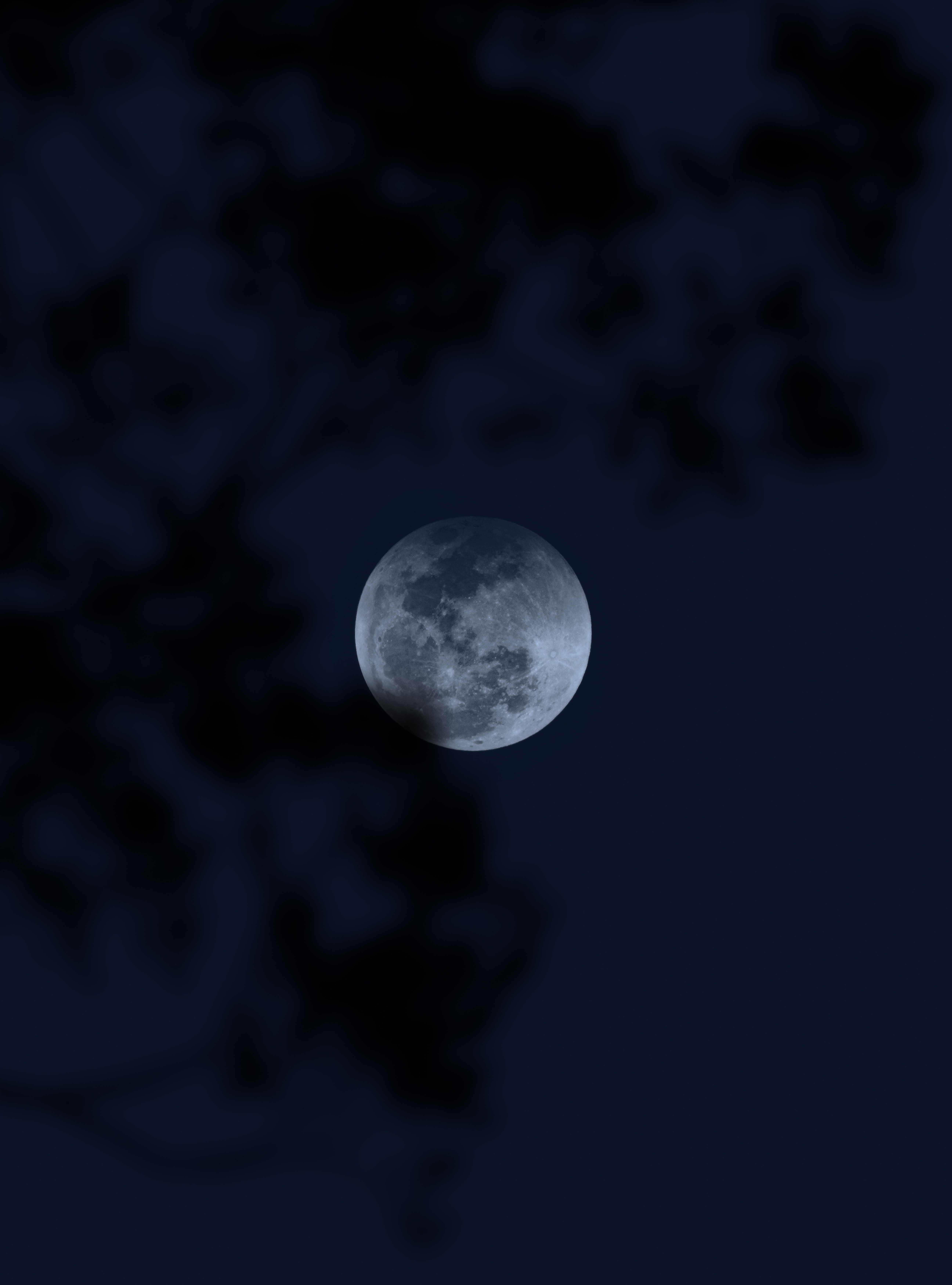 full moon, dark, darkness, moon, night 1080p