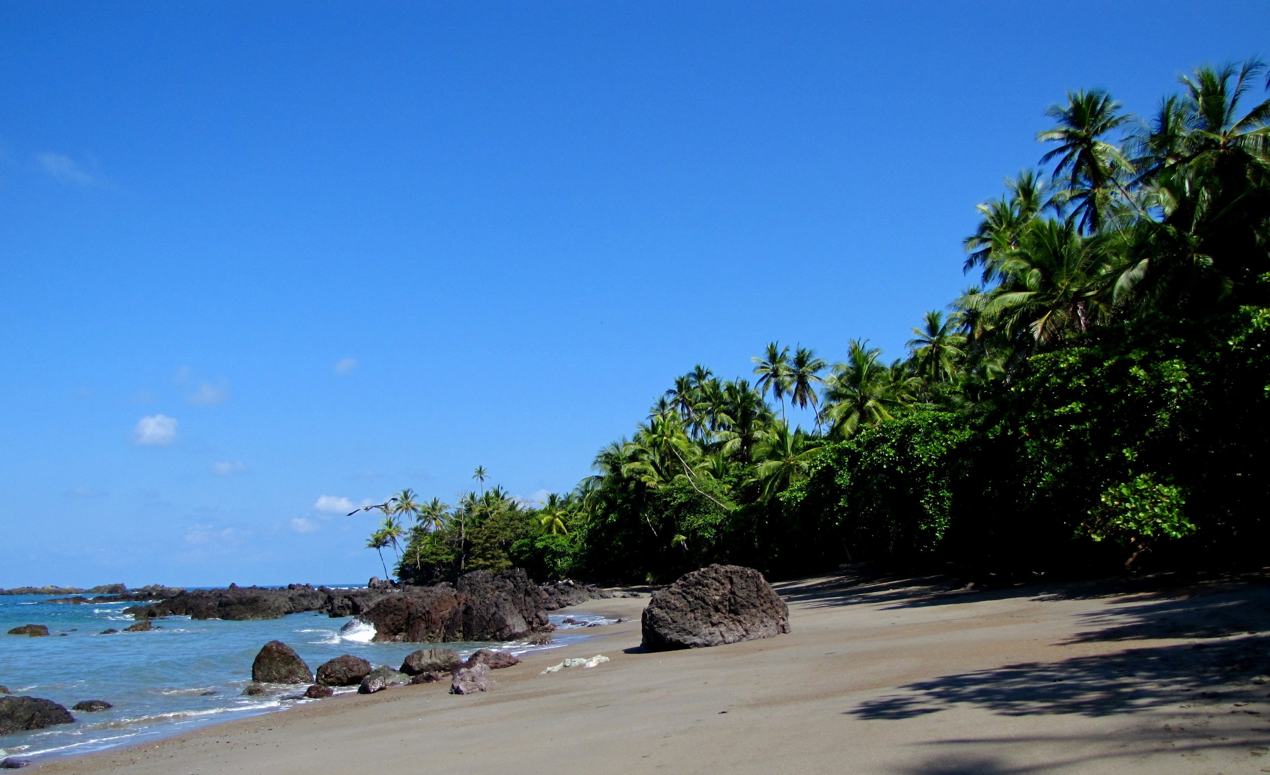 157076 Salvapantallas y fondos de pantalla Orilla en tu teléfono. Descarga imágenes de playa, serenidad, zona tropical, naturaleza gratis