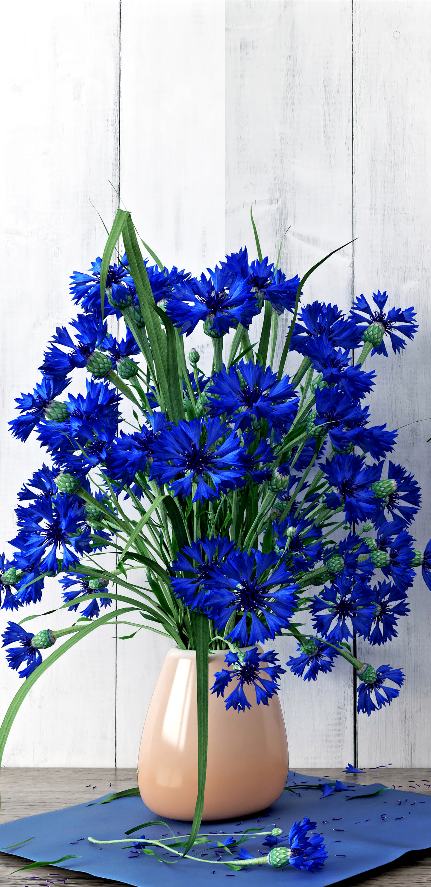 1324575 Заставки і шпалери Волошка на телефон. Завантажити натюрморт, ваза, синя квітка, квітка картинки безкоштовно