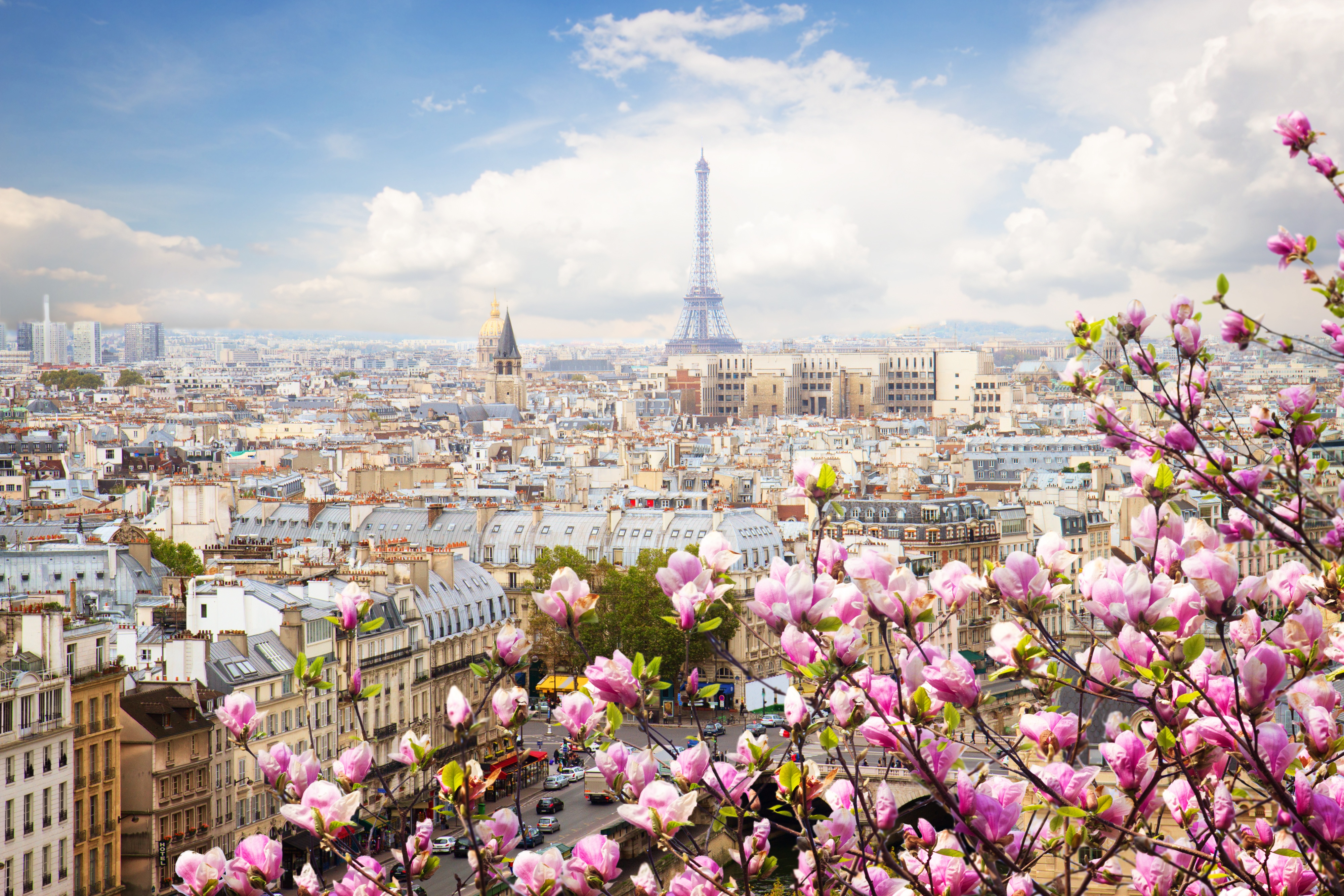 Виды парижа. Париж Эйфелева башня цветы. Весна в Париже. Париж весной. Франция весной.