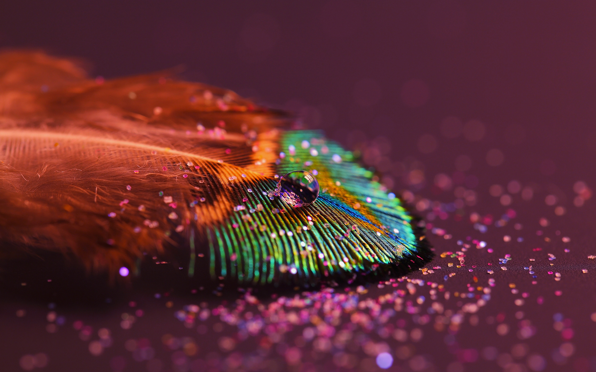 background, drops, feather, red HD wallpaper