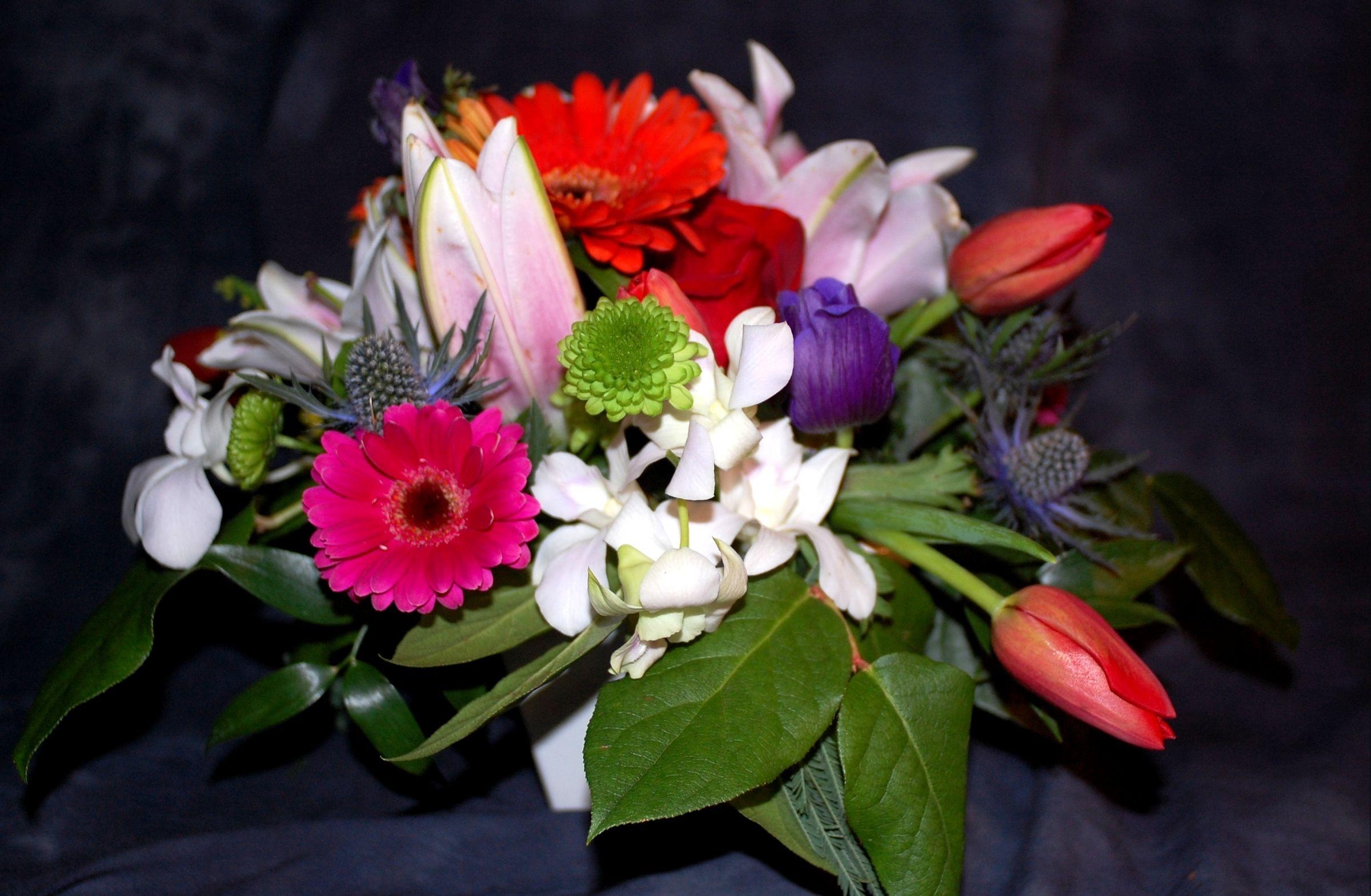 Laden Sie das Blumen, Blätter, Tulpen, Chrysantheme, Gerbera, Strauß, Bouquet, Komposition, Zusammensetzung-Bild kostenlos auf Ihren PC-Desktop herunter