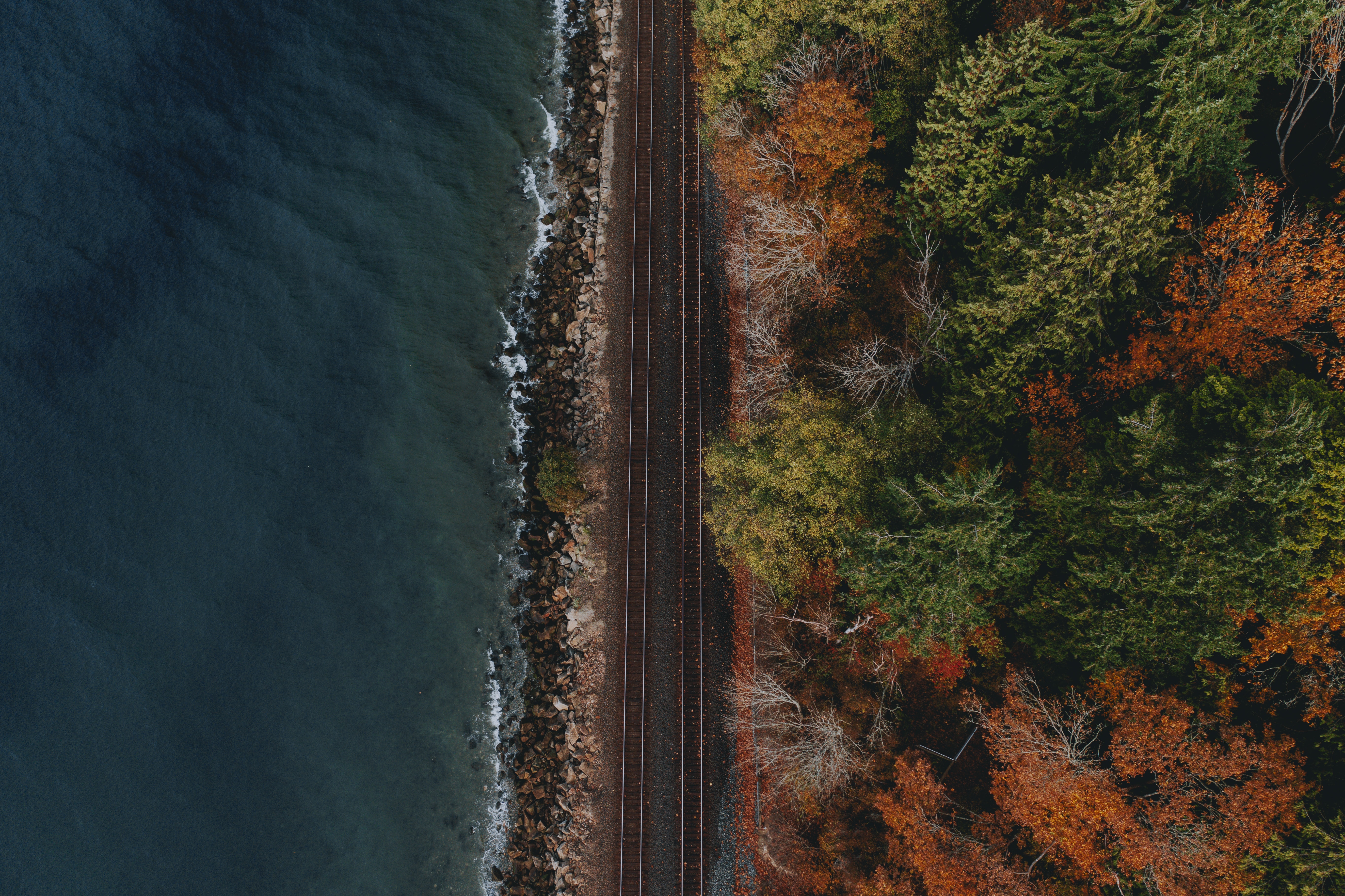 view from above, forest, railway, water Coast HD Android Wallpapers