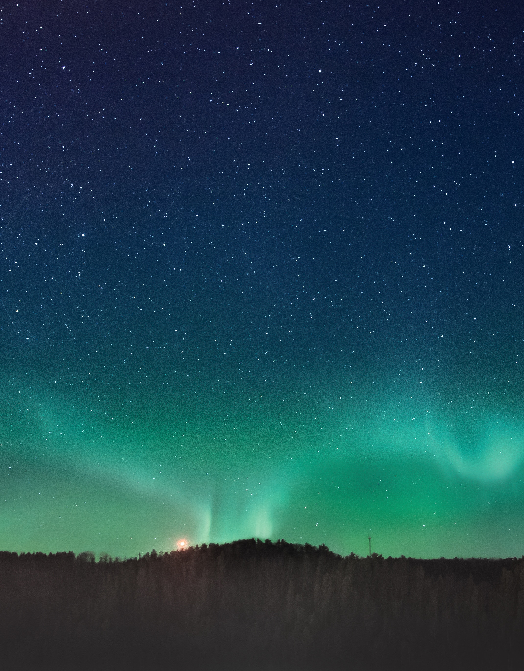 Northern Lights horizon, nature, night, stars 8k Backgrounds