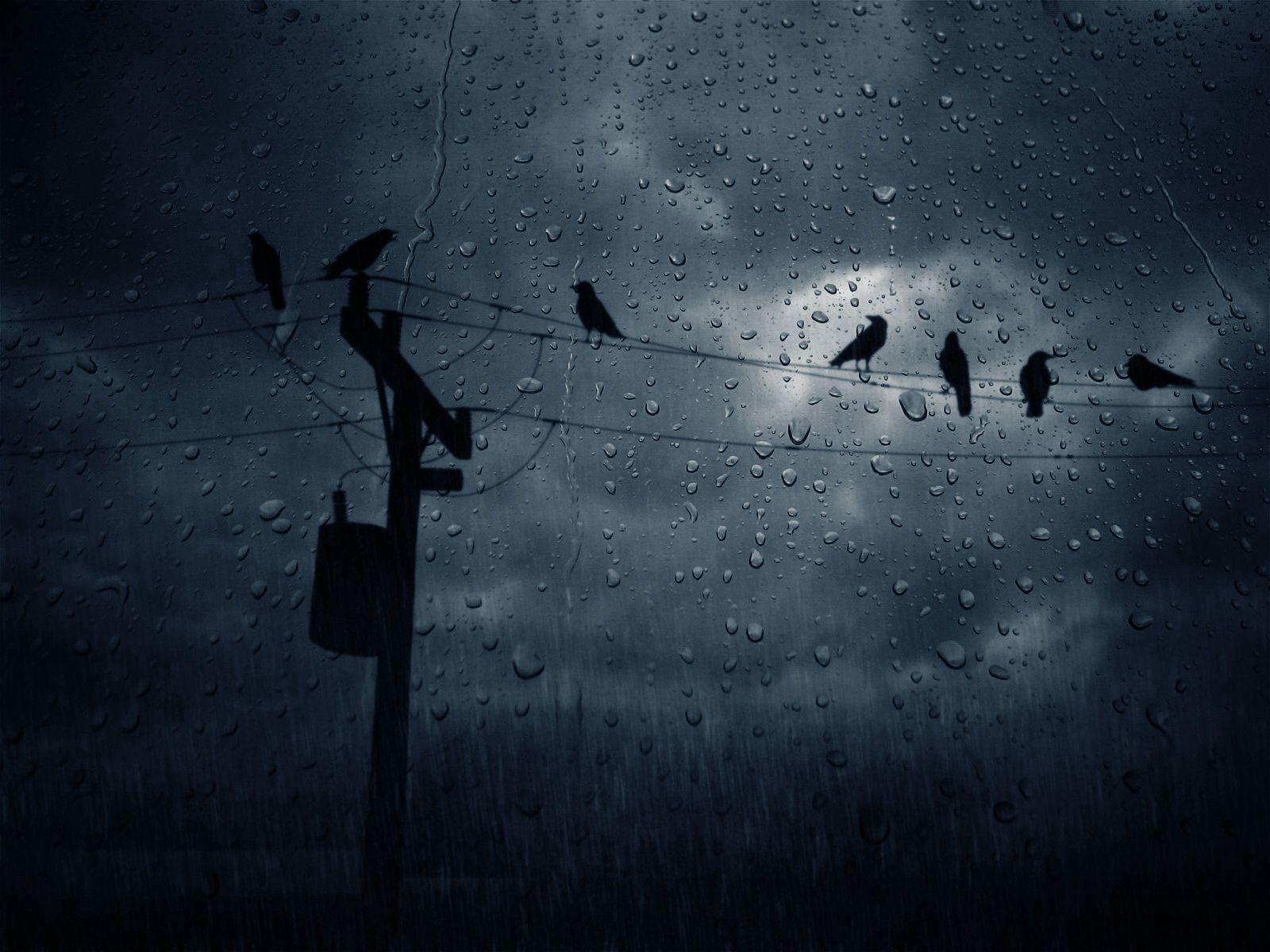 iPhone Wallpapers dark, glass, crows, drops Birds