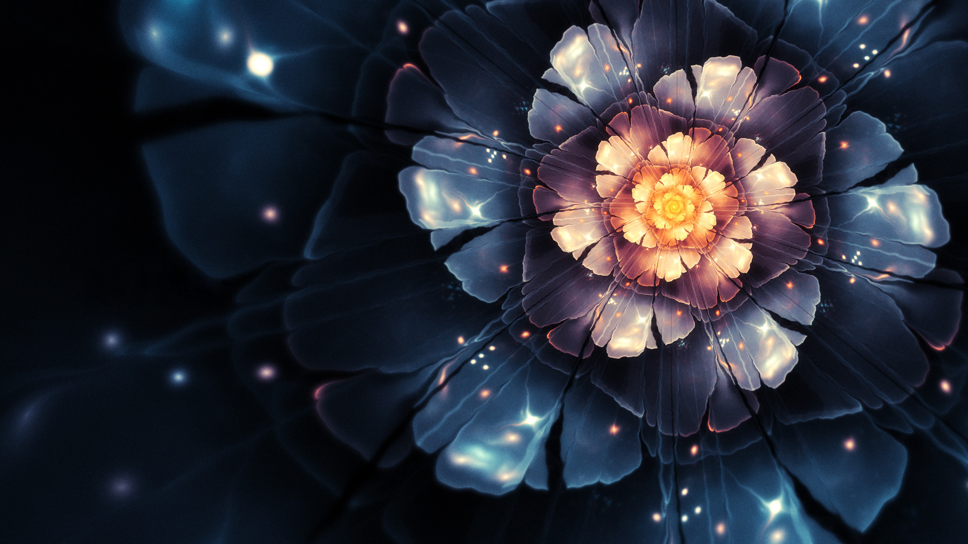 flower, nature, artistic HD wallpaper