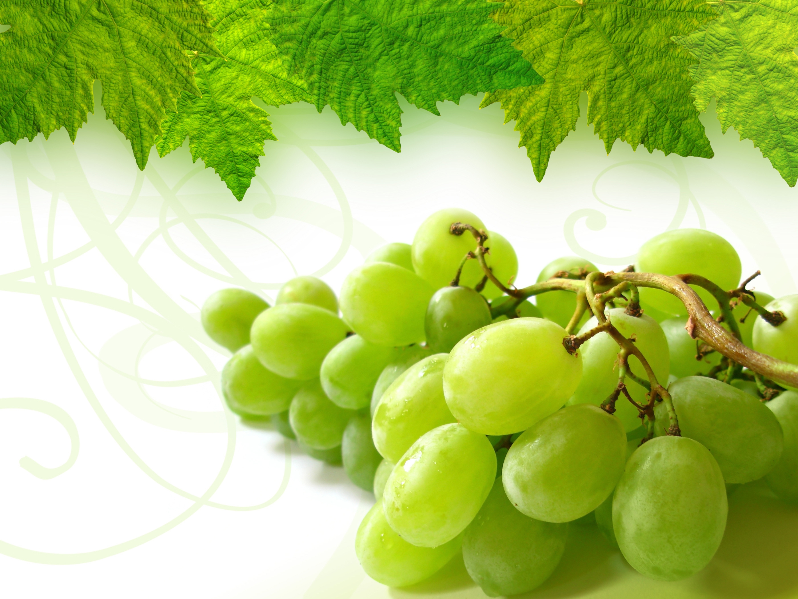 Grapes iPhone wallpapers