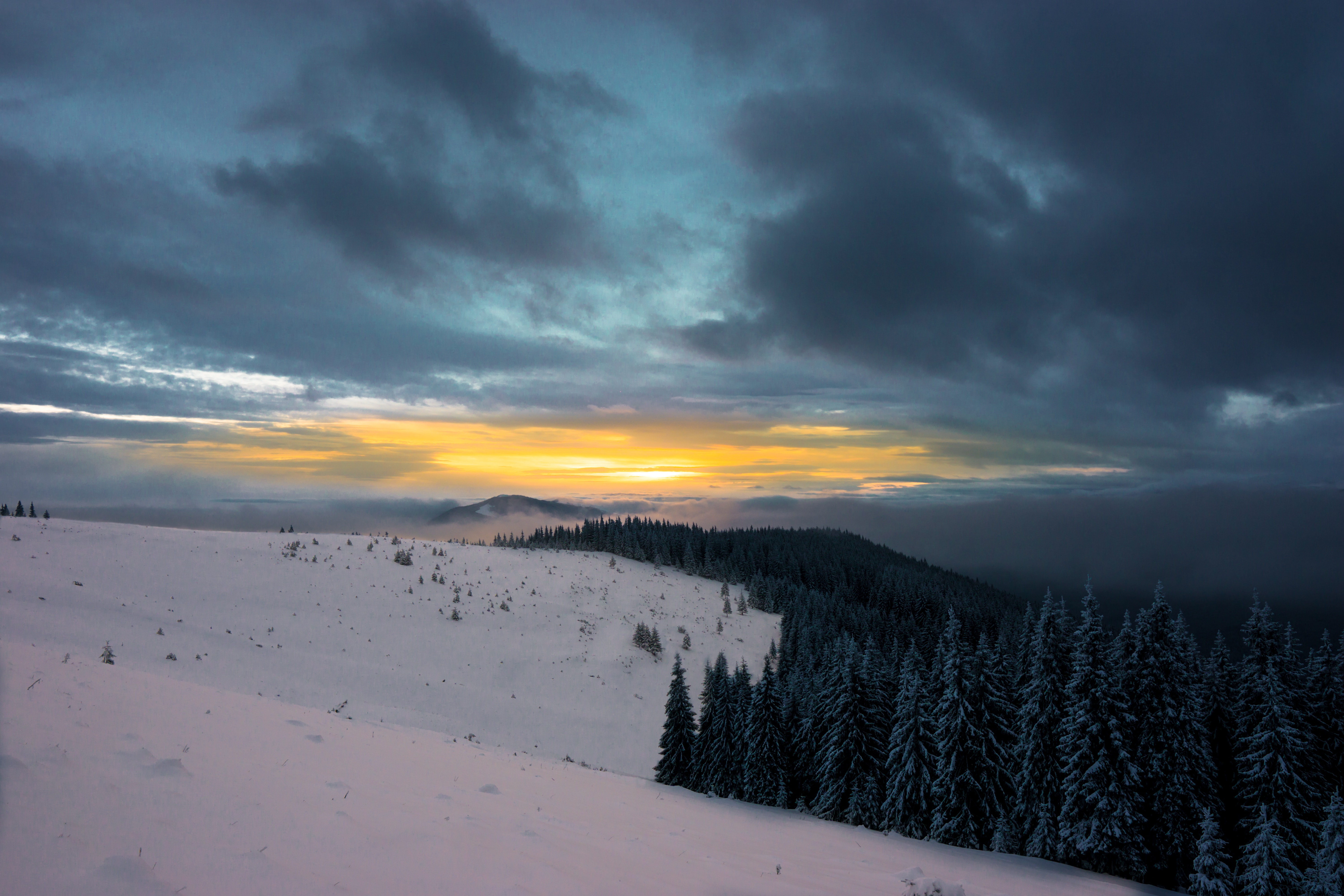 Free Backgrounds mountains, forest, winter, sunset