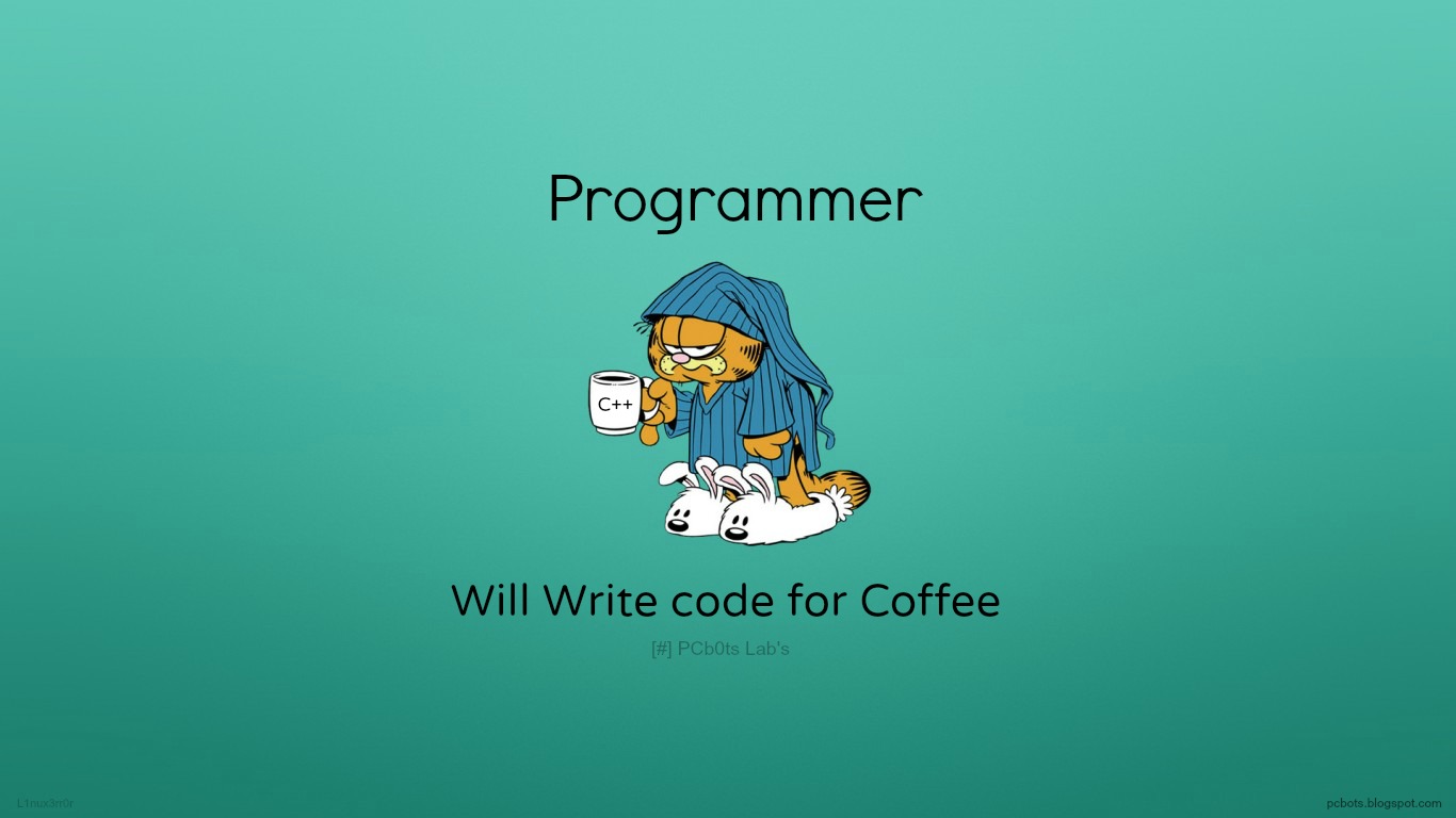 technology, programming, coder, garfield, humor, slipper