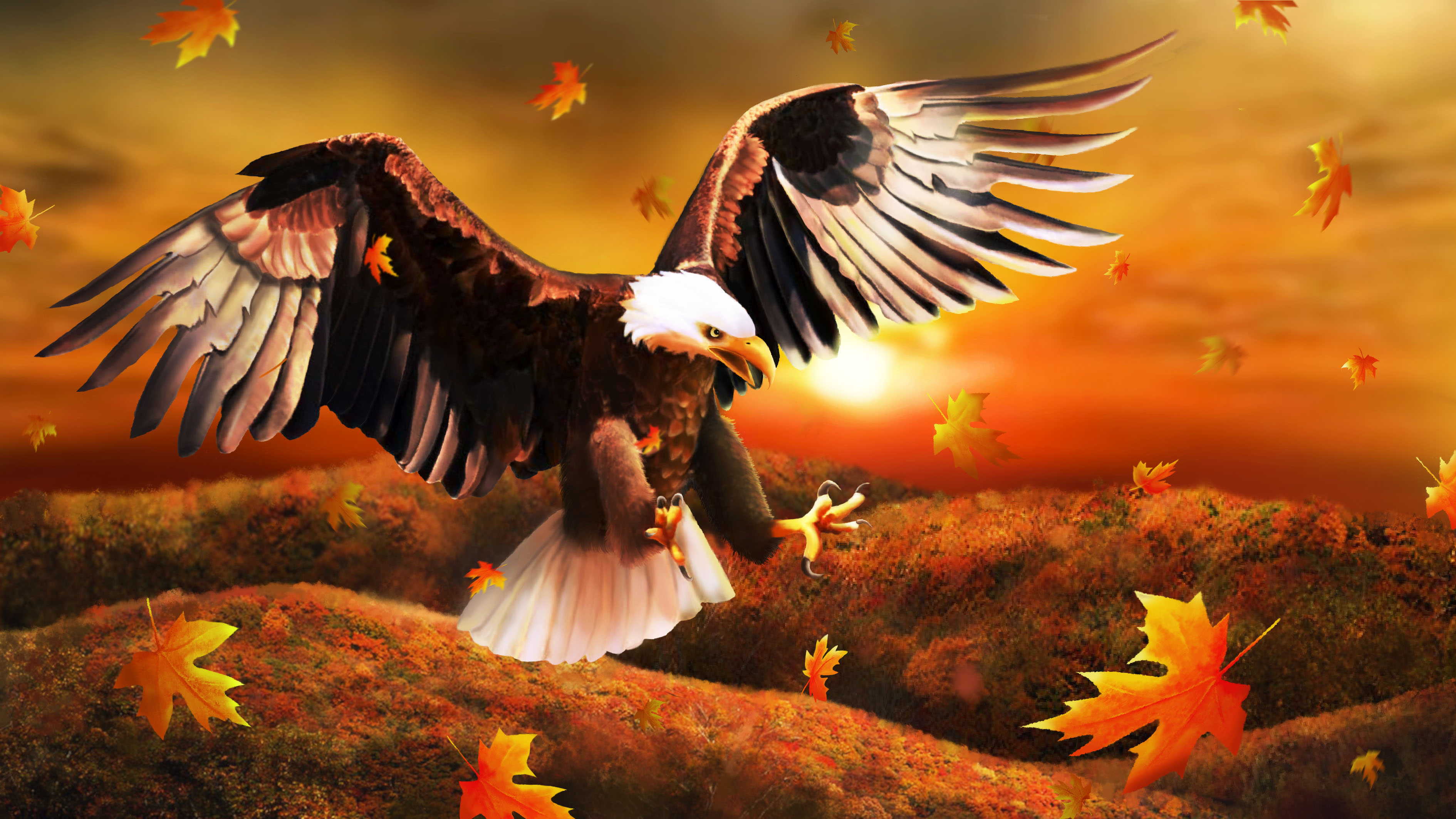 Descargar las imágenes de Águila gratis para teléfonos Android y iPhone,  fondos de pantalla de Águila para teléfonos móviles