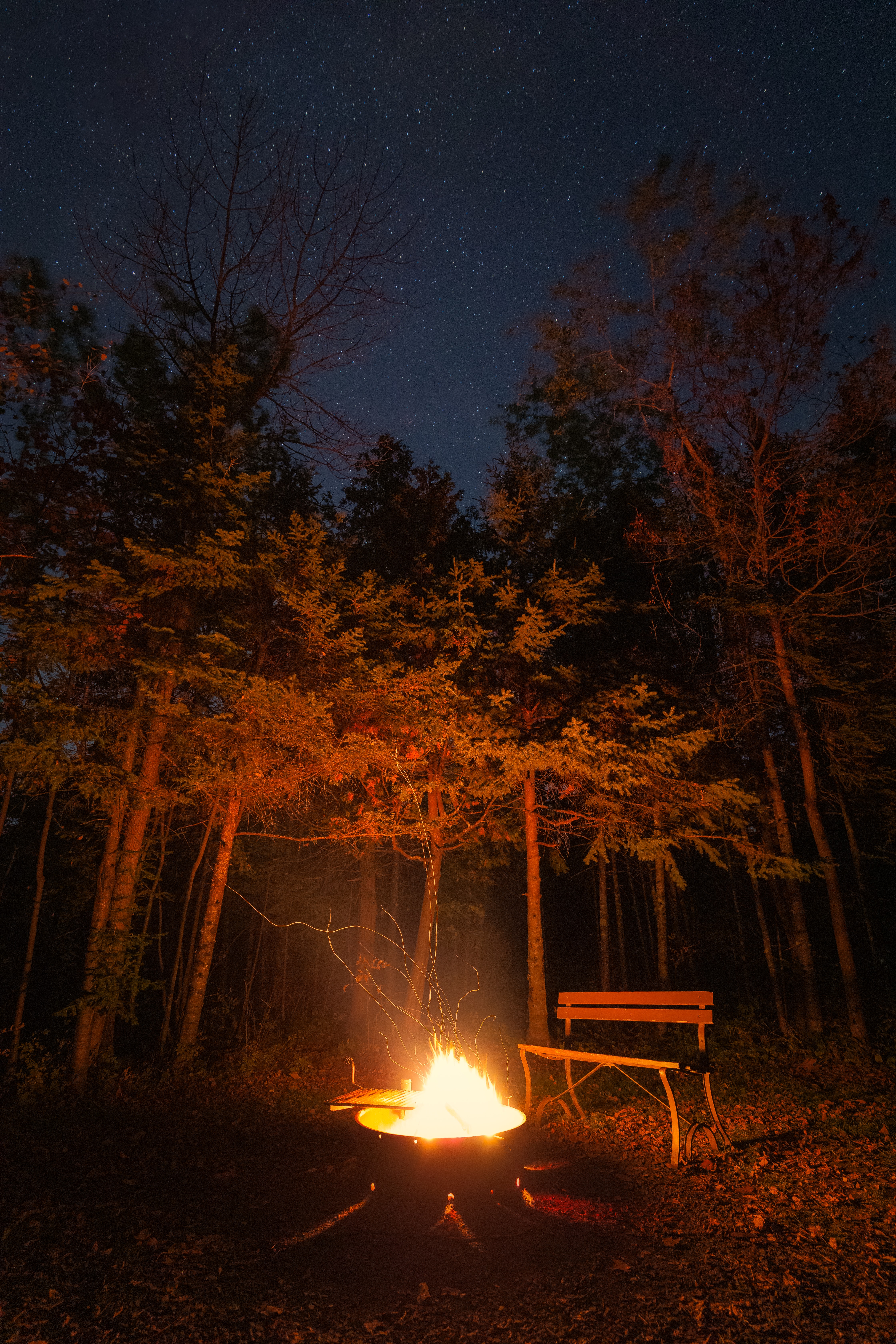 night, bonfire, dark, forest, bench