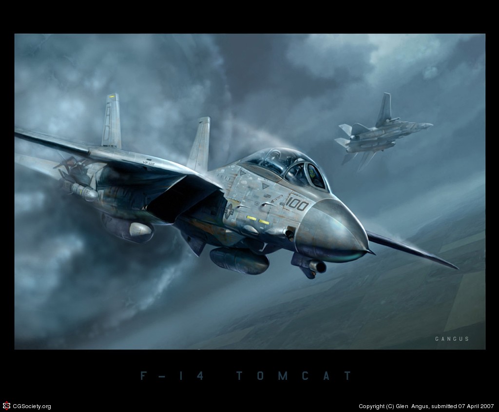 Grumman F 14 Tomcat wallpapers for desktop, download free Grumman F 14  Tomcat pictures and backgrounds for PC 