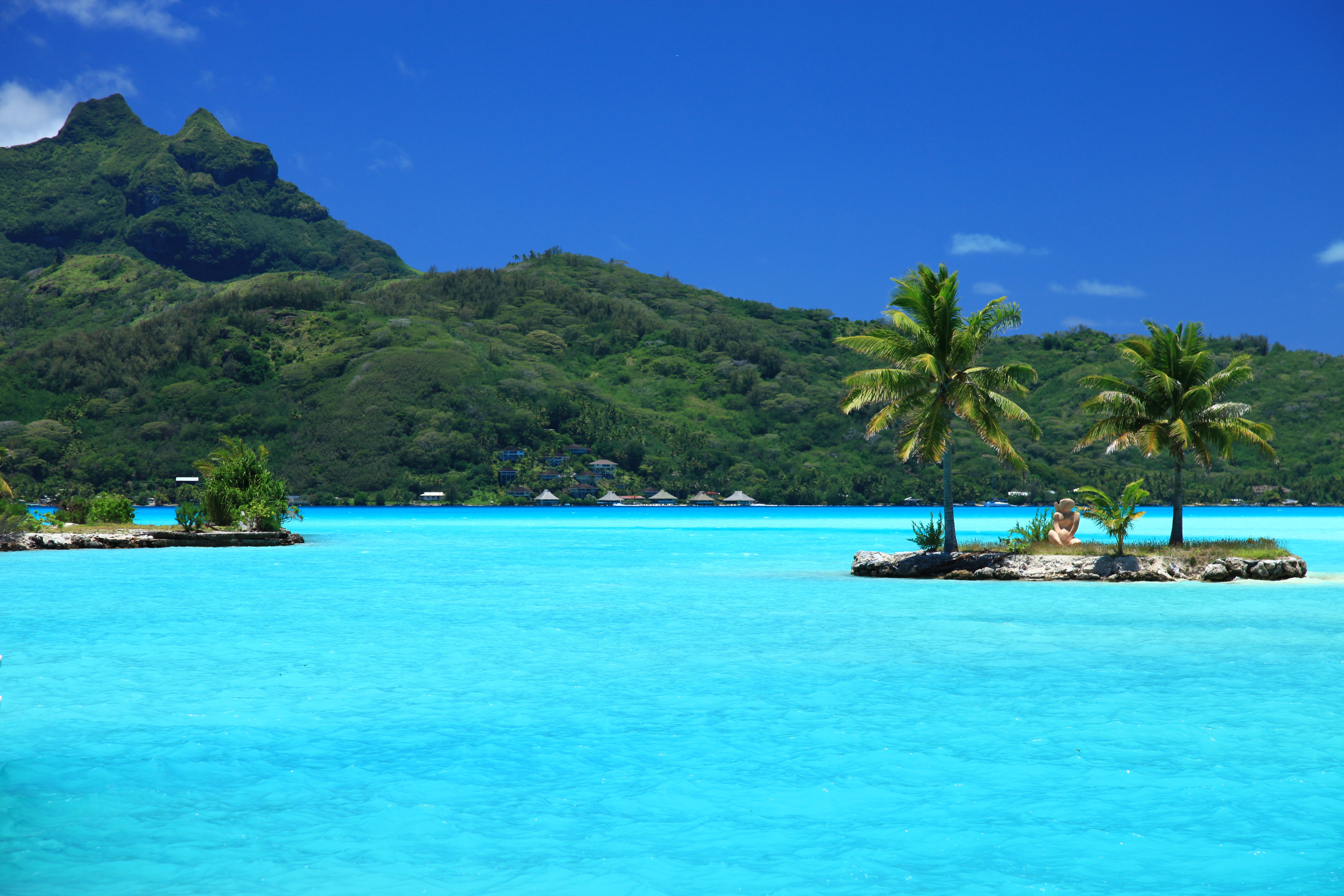 island, nature, palms, tropics cellphone