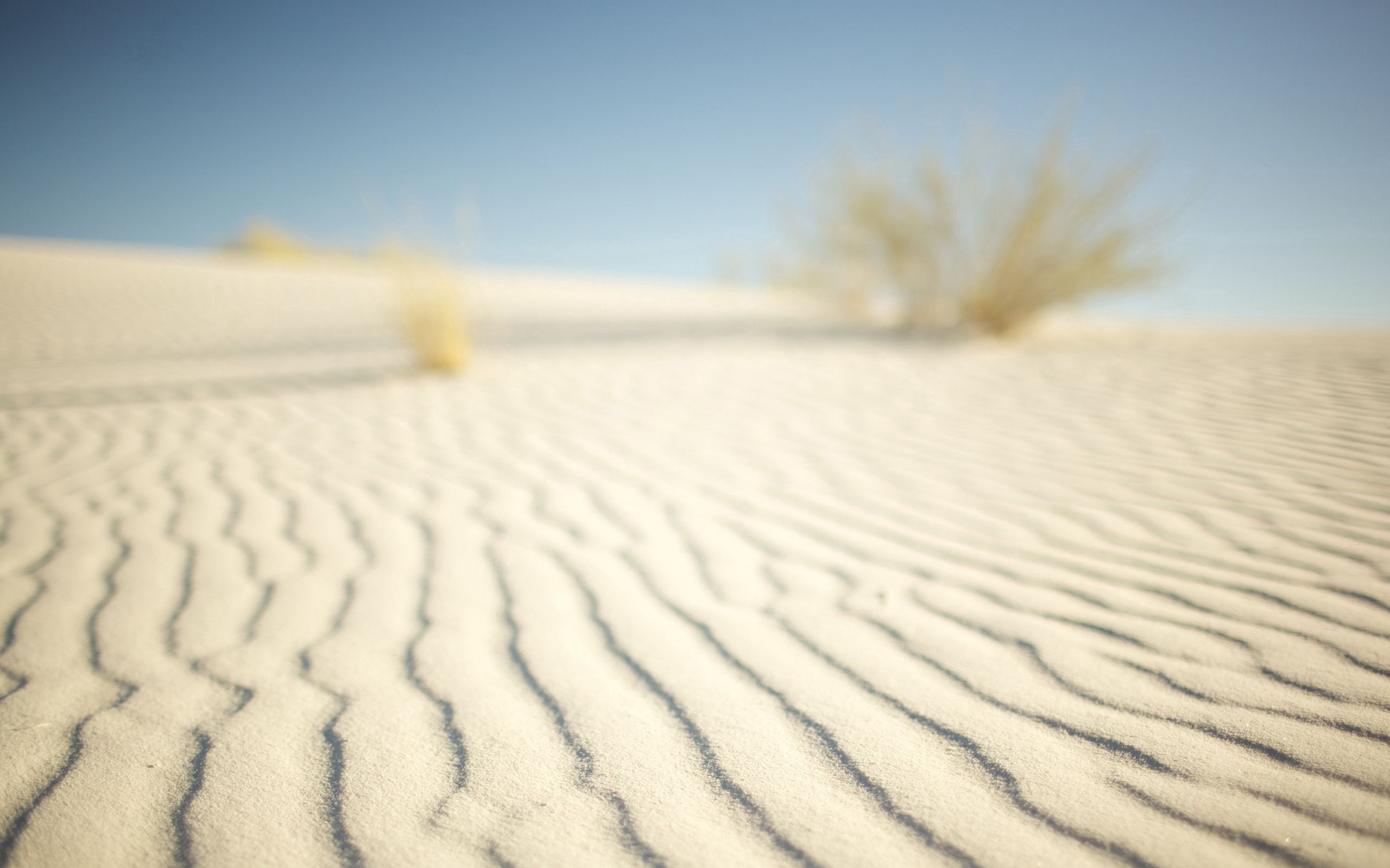 154532 Protetores de tela e papéis de parede Deserto em seu telefone. Baixe areia, natureza, macro, linhas fotos gratuitamente