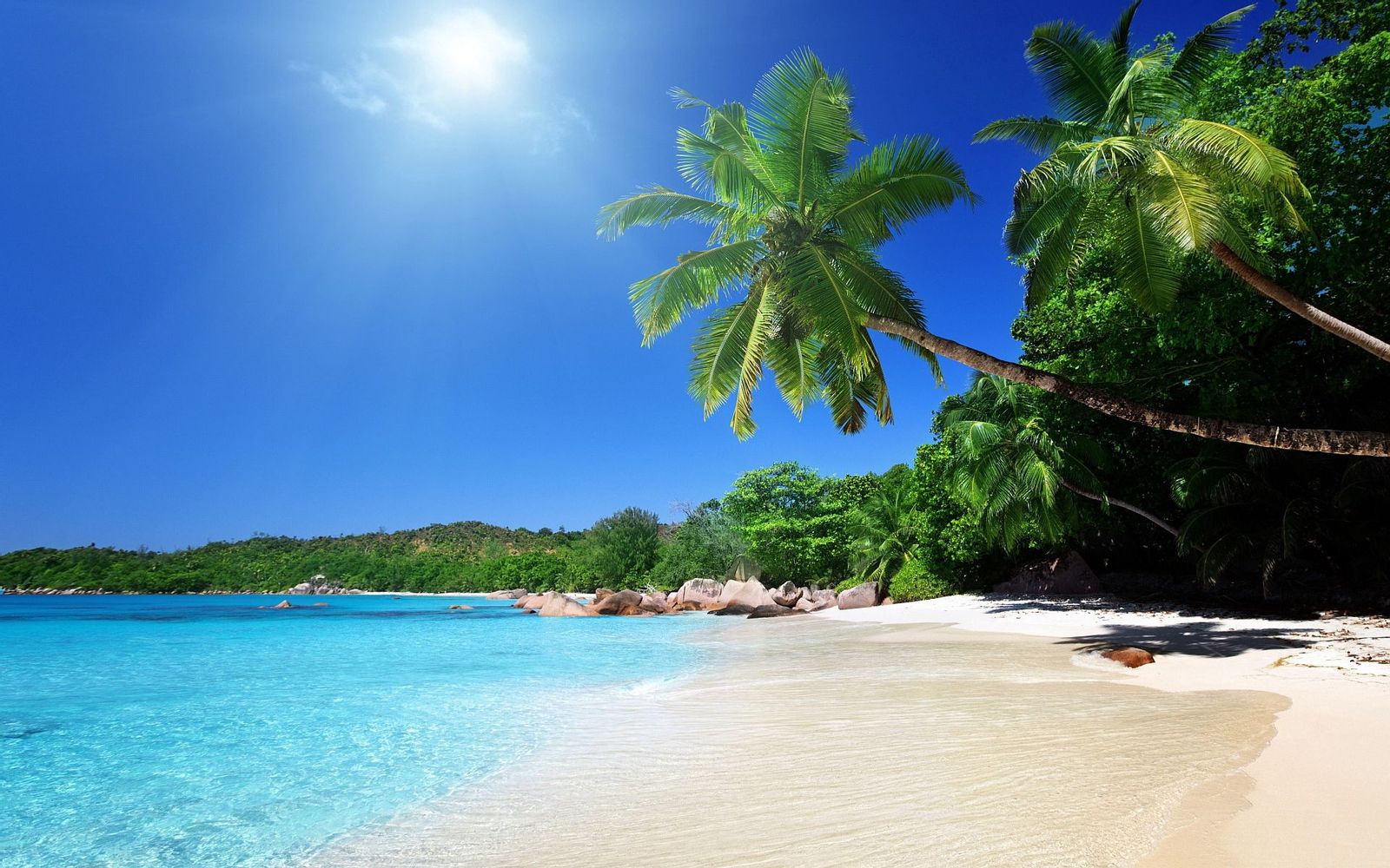 Hintergrundbild für Handys: Strand, Natur, Palms, Tropen, Sand, 136169