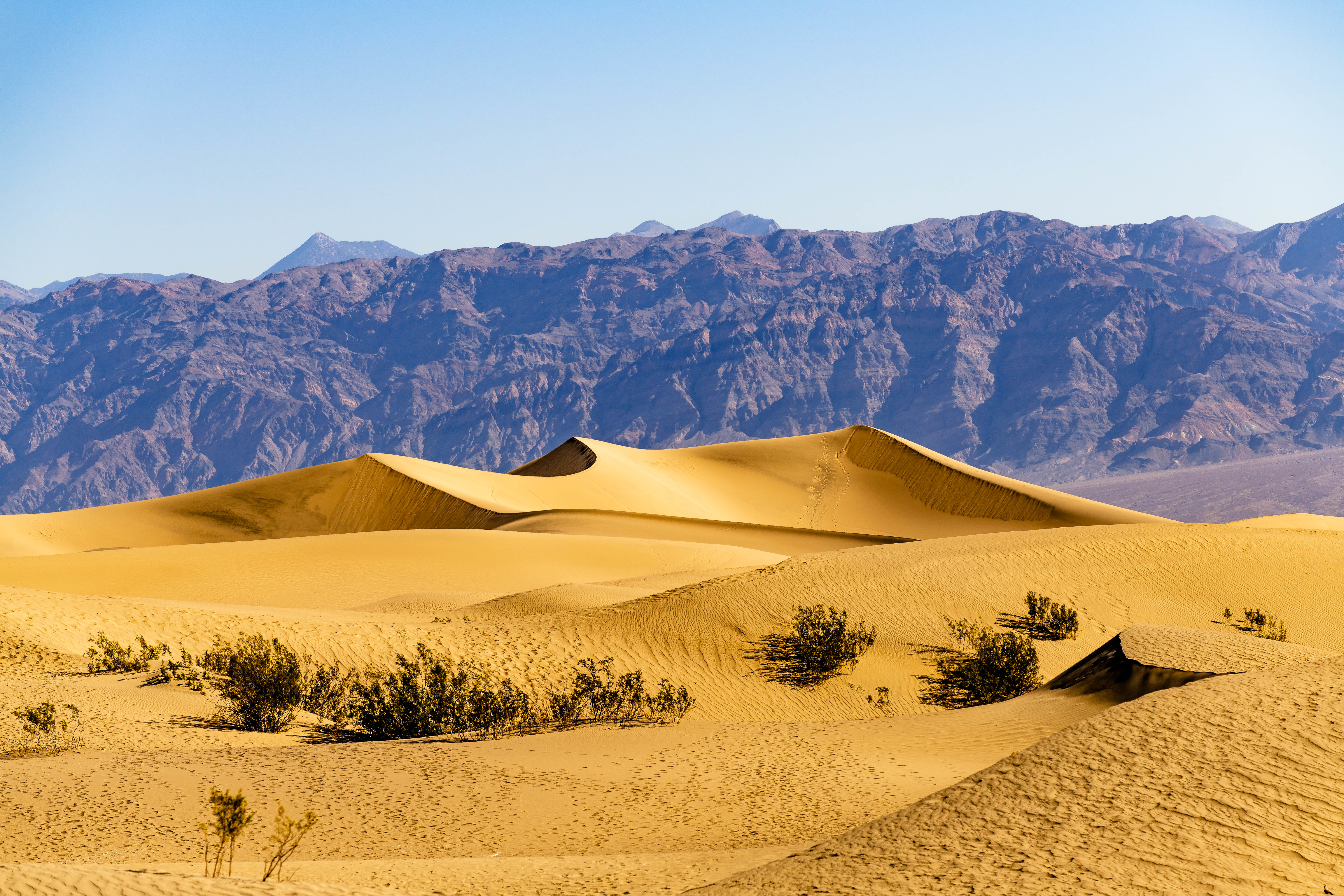 Handy-Wallpaper Natur, Mountains, Sand, Wüste, Bush, Dünen, Links kostenlos herunterladen.