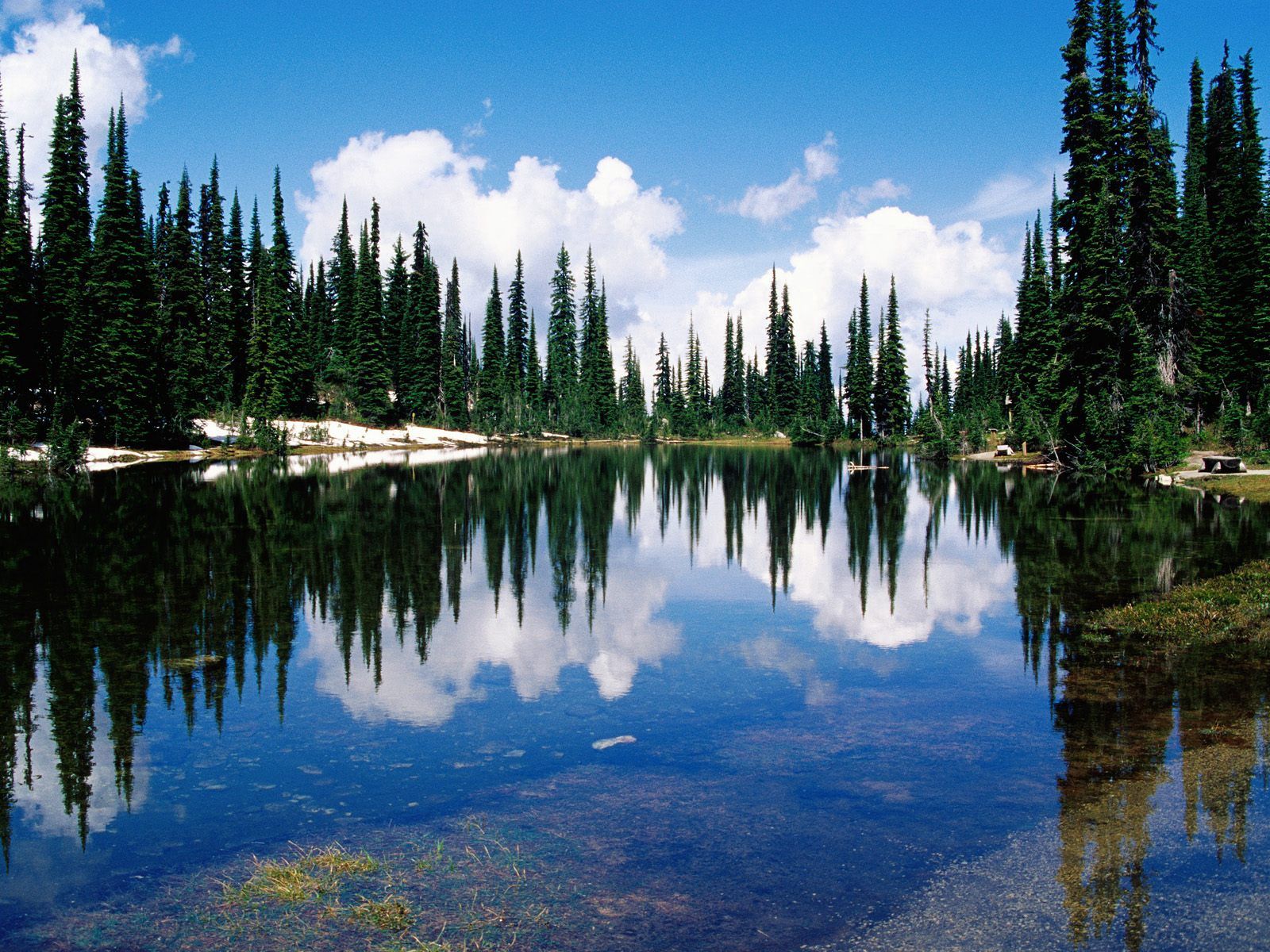 nature, water, trees, lake, reflection, canada, shore, bank, conifers, coniferous, transparent