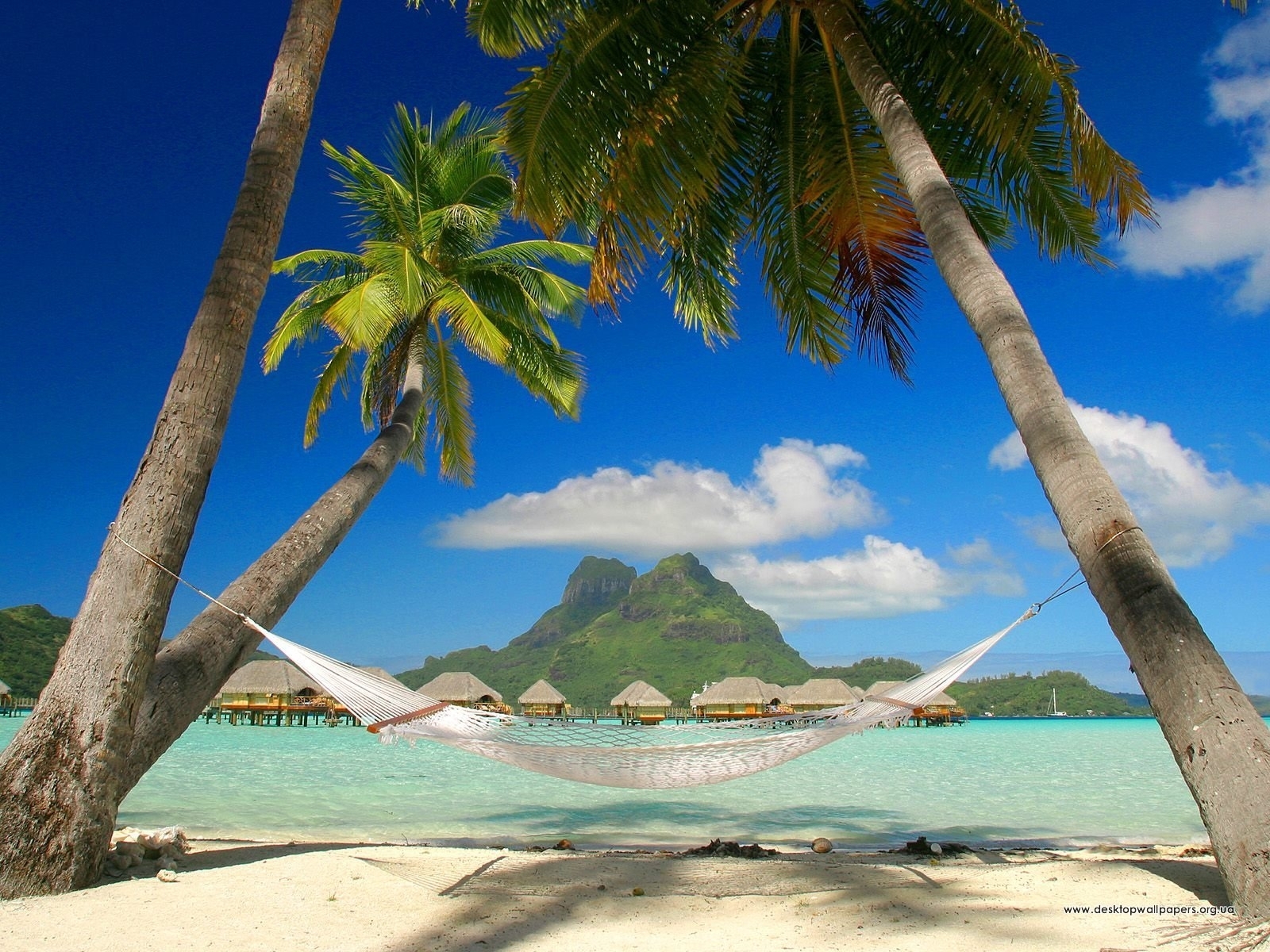 Laden Sie das Landschaft, Bäume, Strand, Palms-Bild kostenlos auf Ihren PC-Desktop herunter