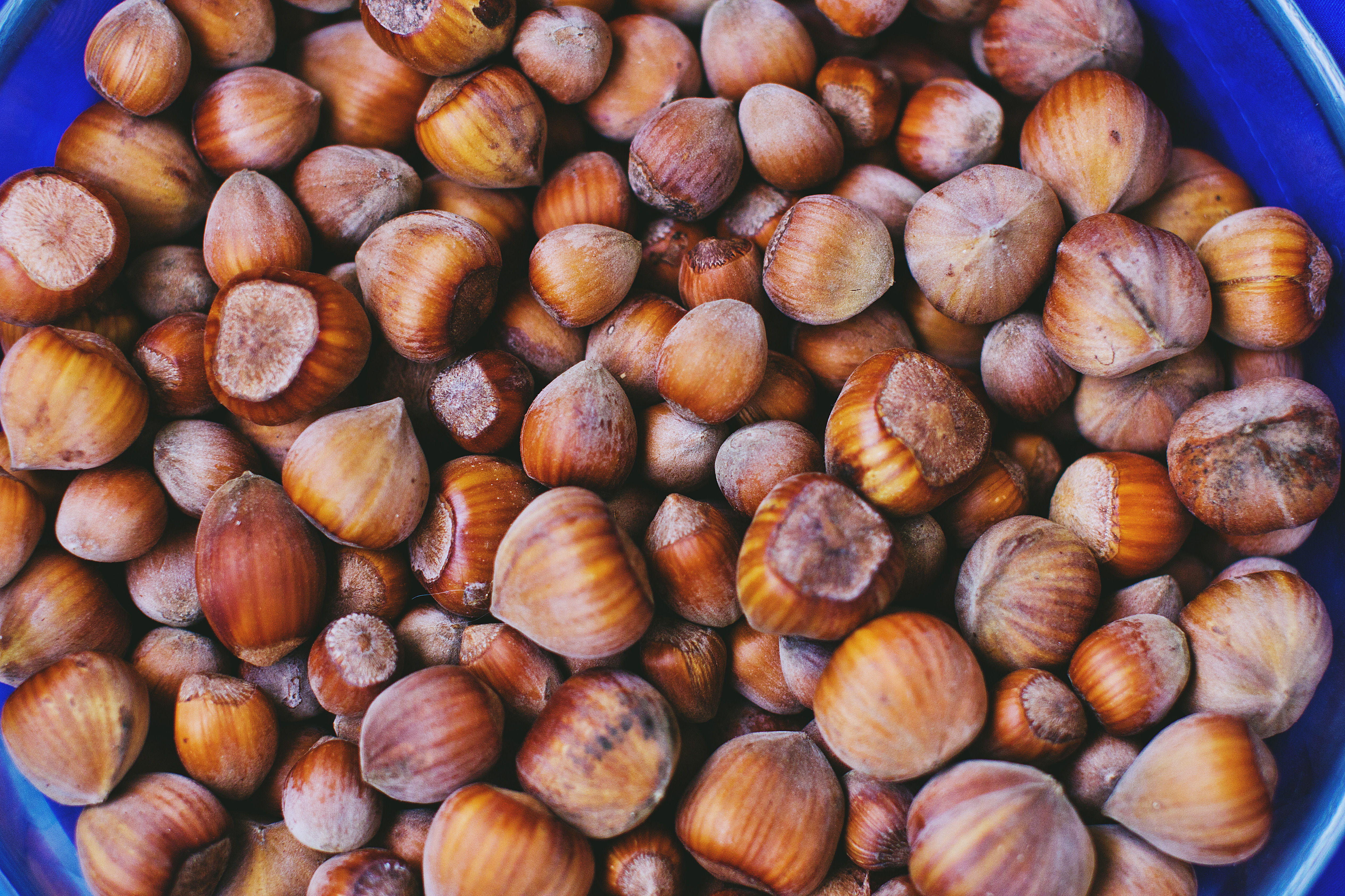 112761 Screensavers and Wallpapers Shell for phone. Download food, nuts, shell, hazelnut pictures for free