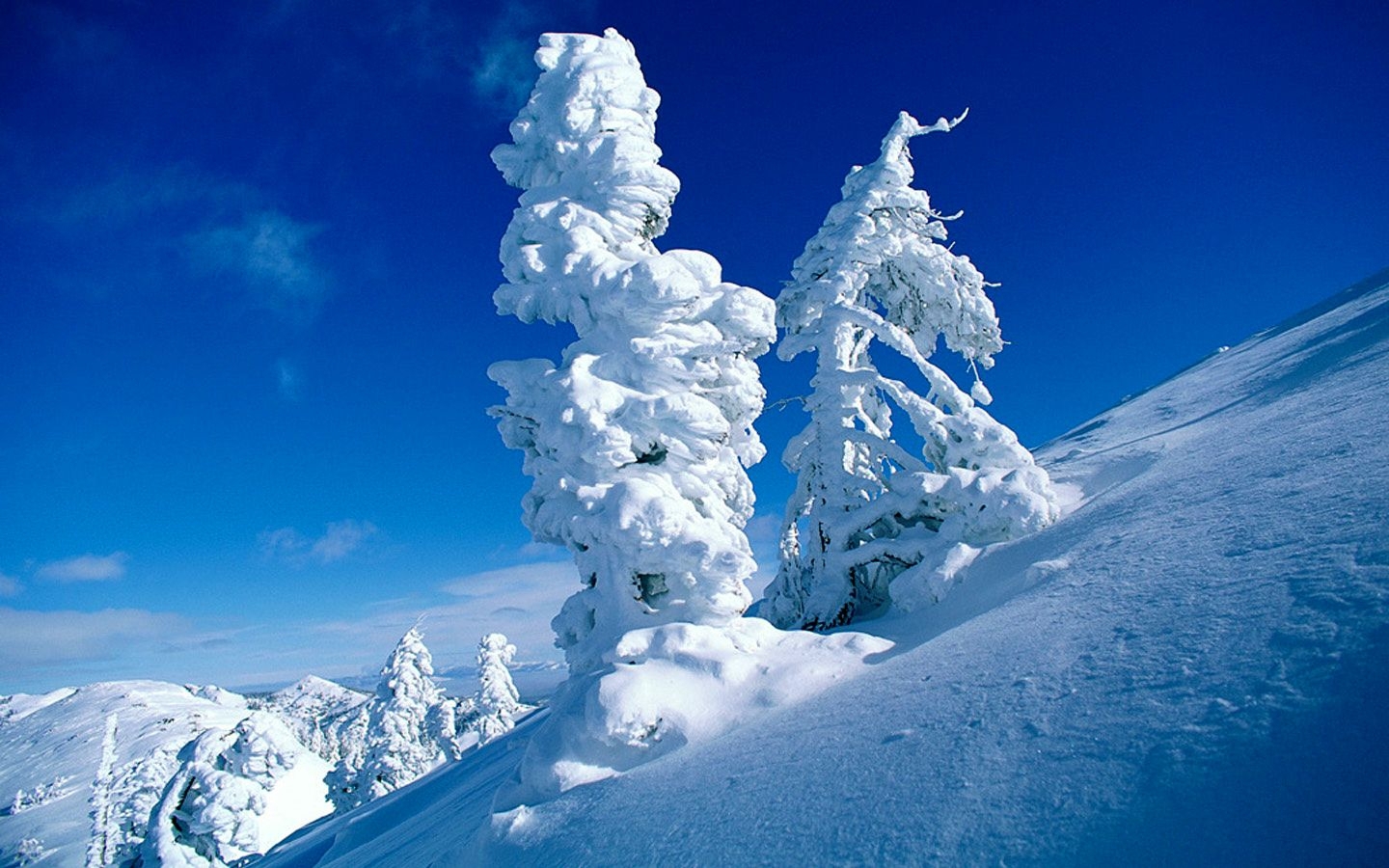 35519 скачать обои снег, пейзаж, деревья, синие - заставки и картинки бесплатно