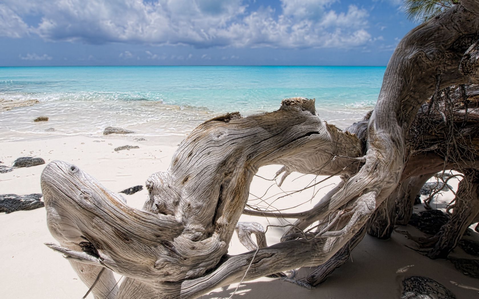 Laden Sie das Natur, Sea, Strand, Holz, Baum, Trocken, Blaues Wasser, Haken-Bild kostenlos auf Ihren PC-Desktop herunter