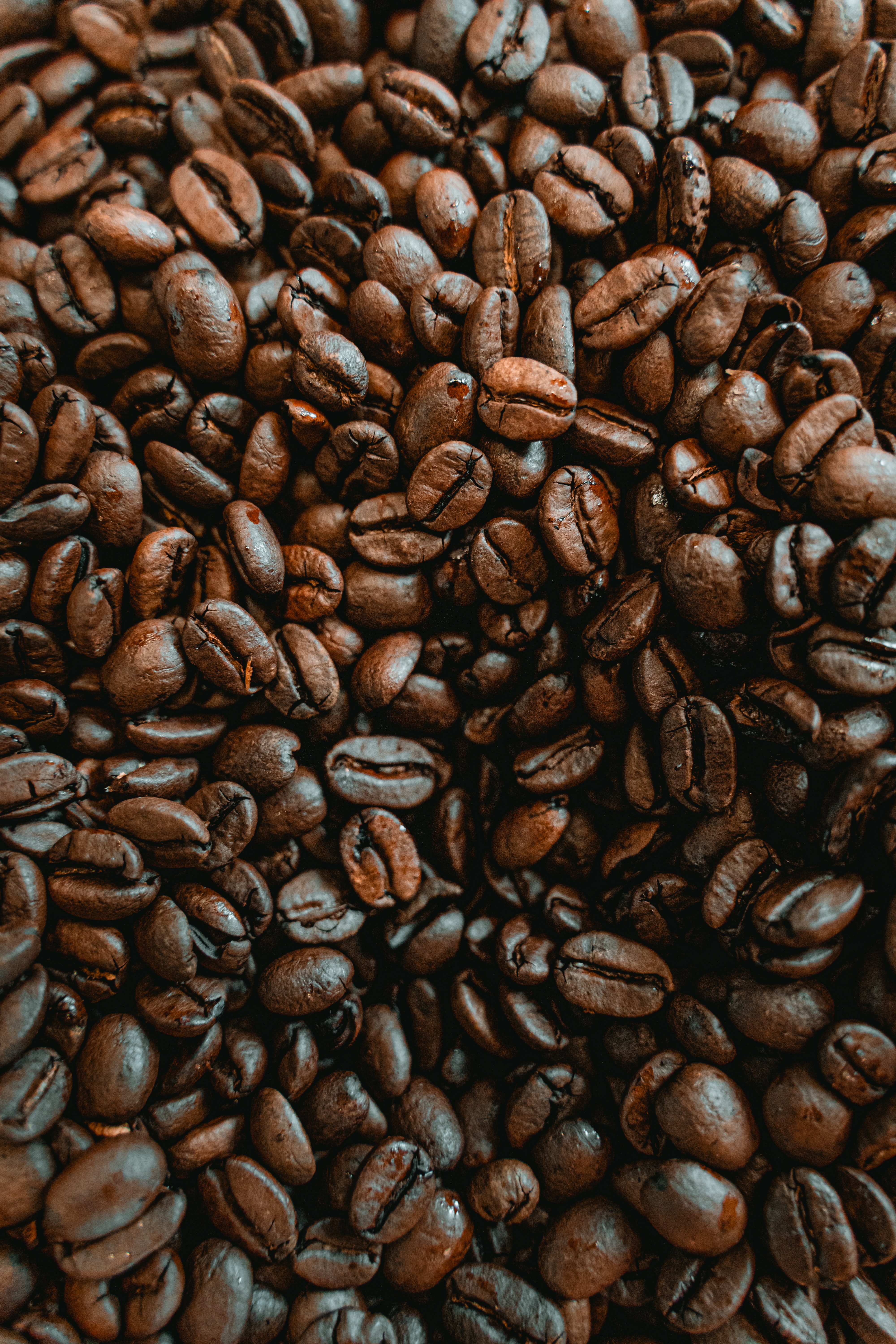 Laden Sie das Lebensmittel, Coffee, Muster, Kaffeebohnen-Bild kostenlos auf Ihren PC-Desktop herunter