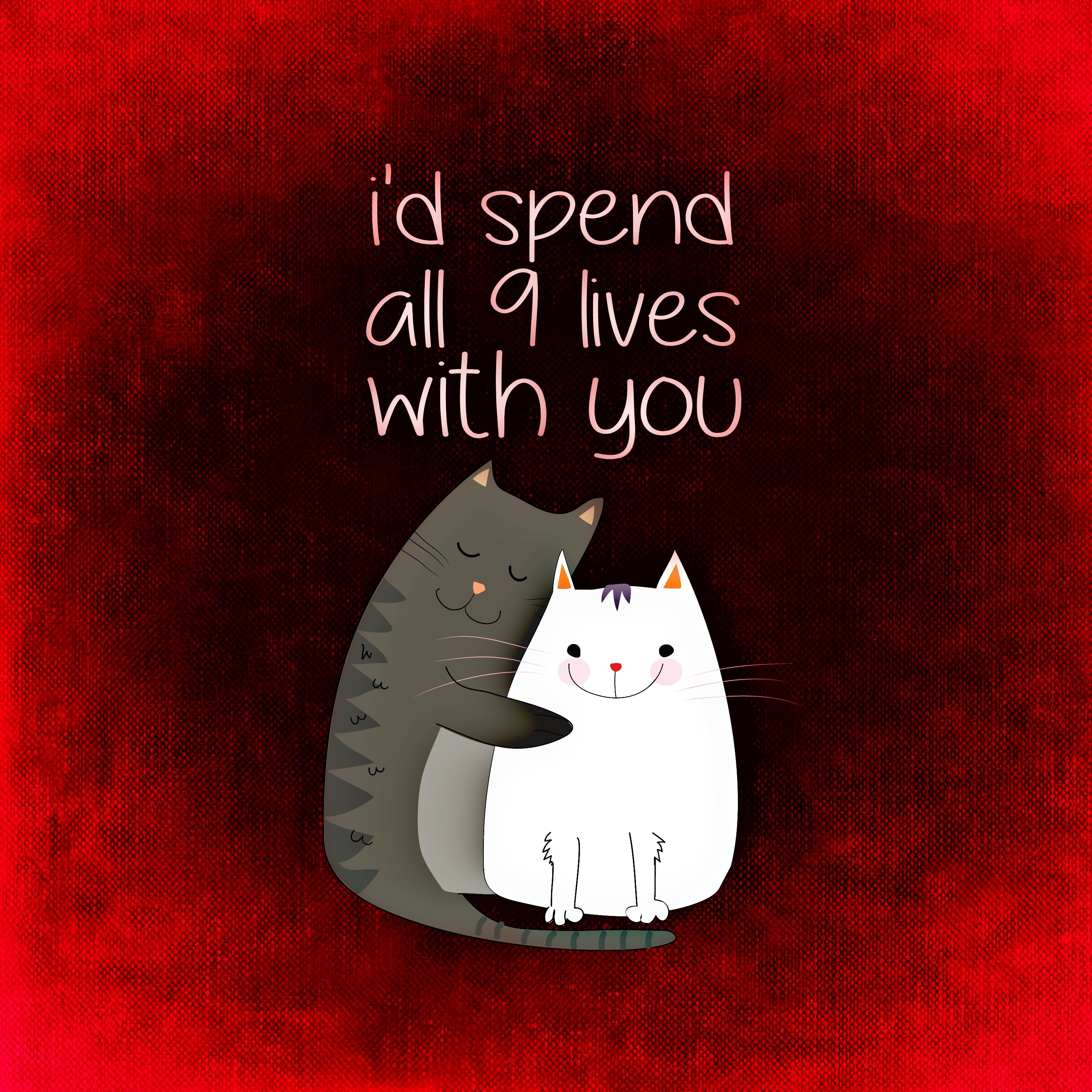 126744 download wallpaper cats, love, inscription, romance, confession, postcard screensavers and pictures for free