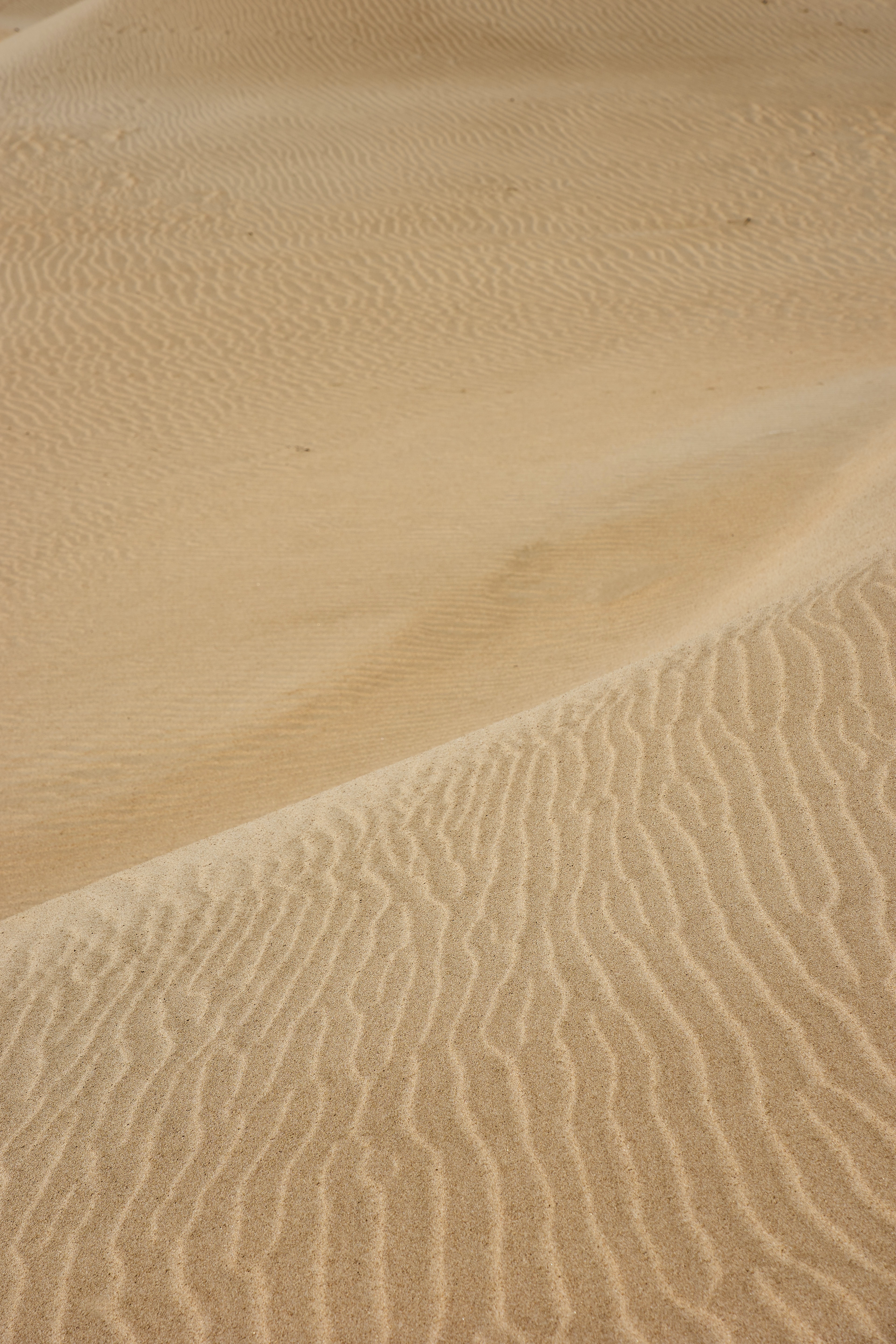 55607 Hintergrundbild herunterladen natur, waves, sand, wüste, spuren, dünen - Bildschirmschoner und Bilder kostenlos