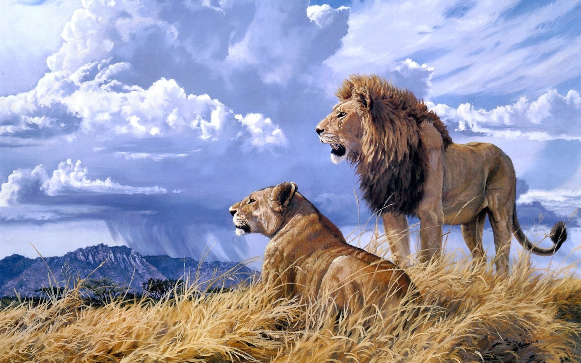 Tablet FHD pic animal, lion, lioness, cats