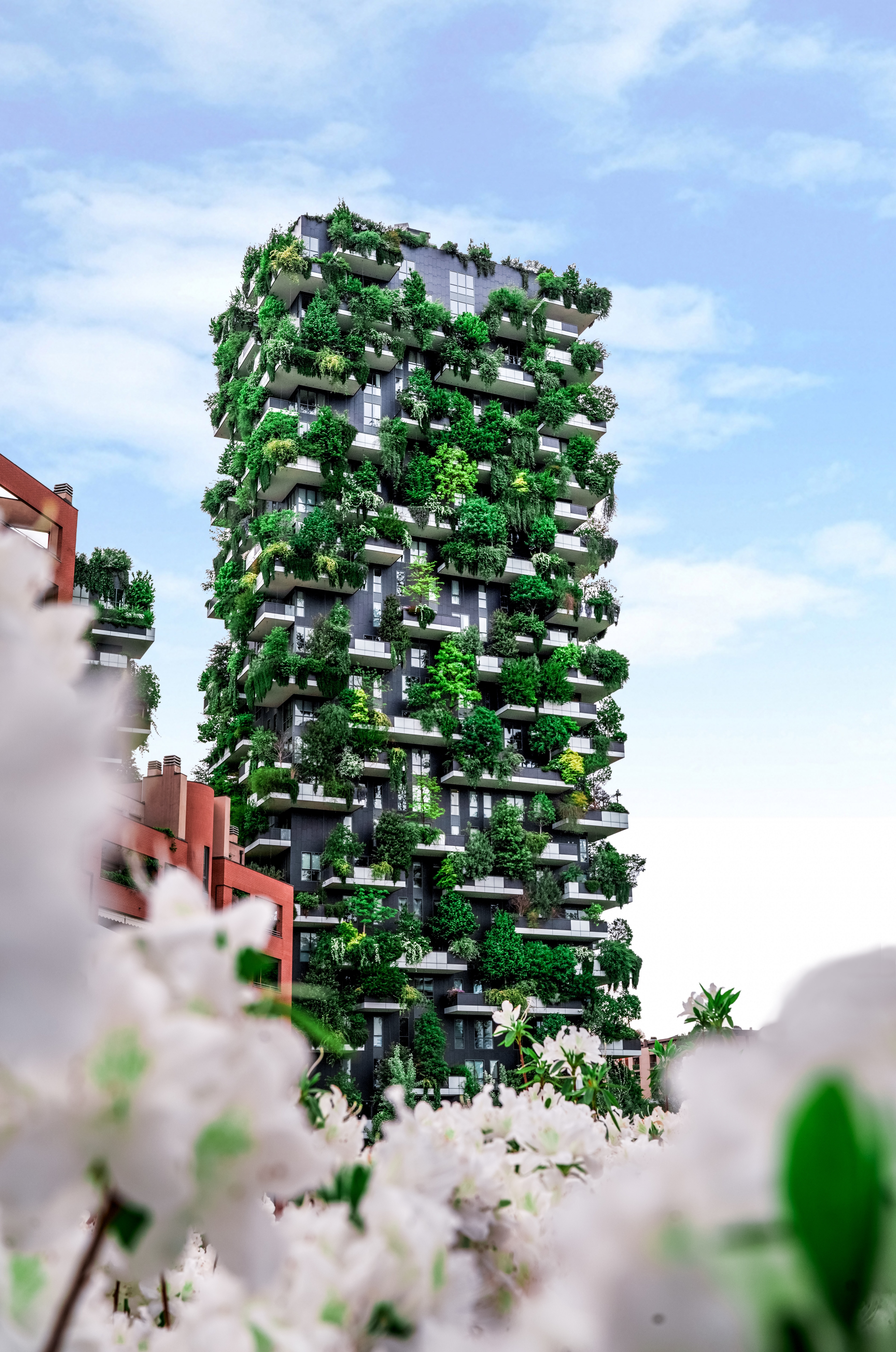 Free HD plants, cities, architecture, building, house, modern, up to date, eco