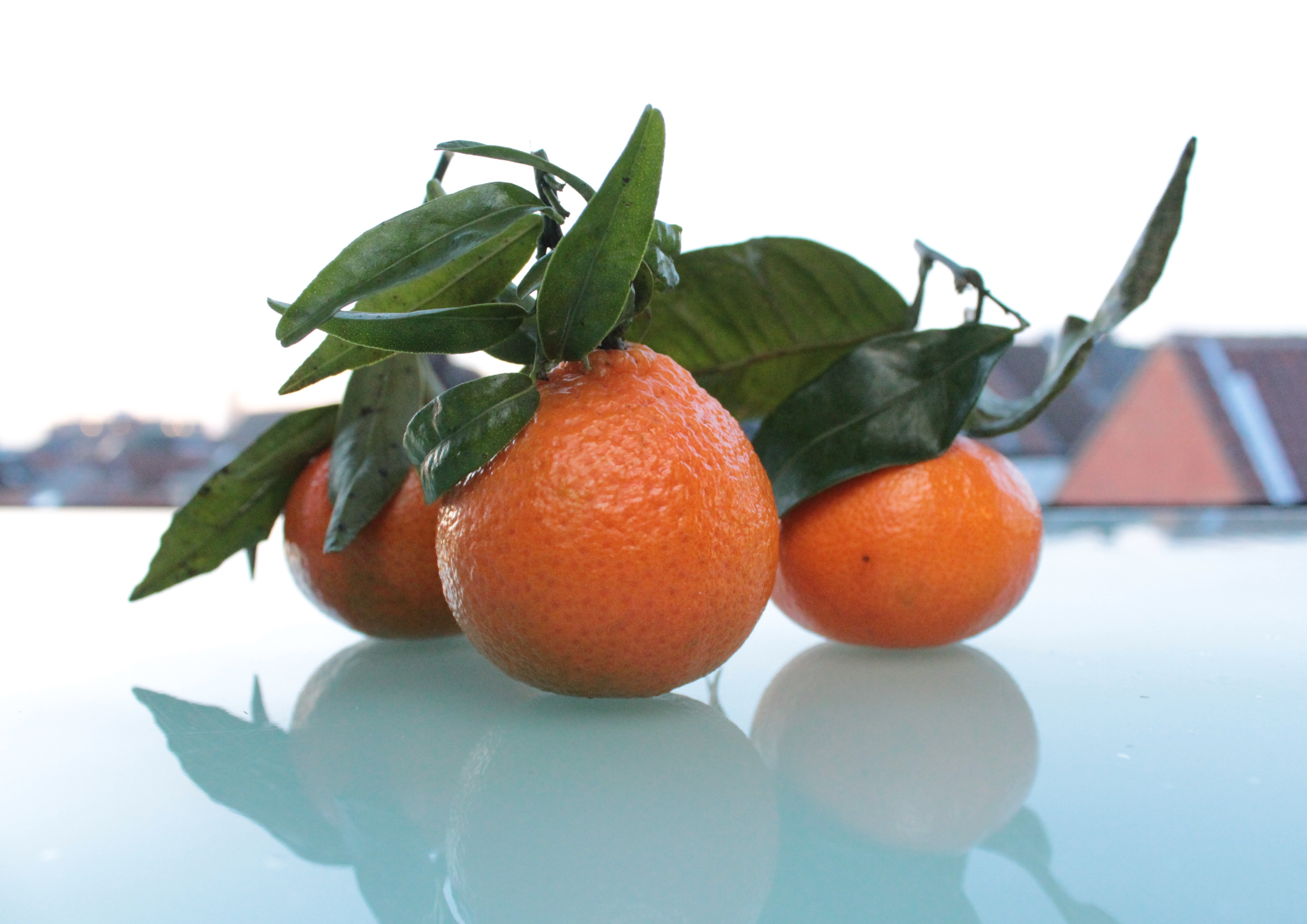 iPhone background citrus, tangerines, food