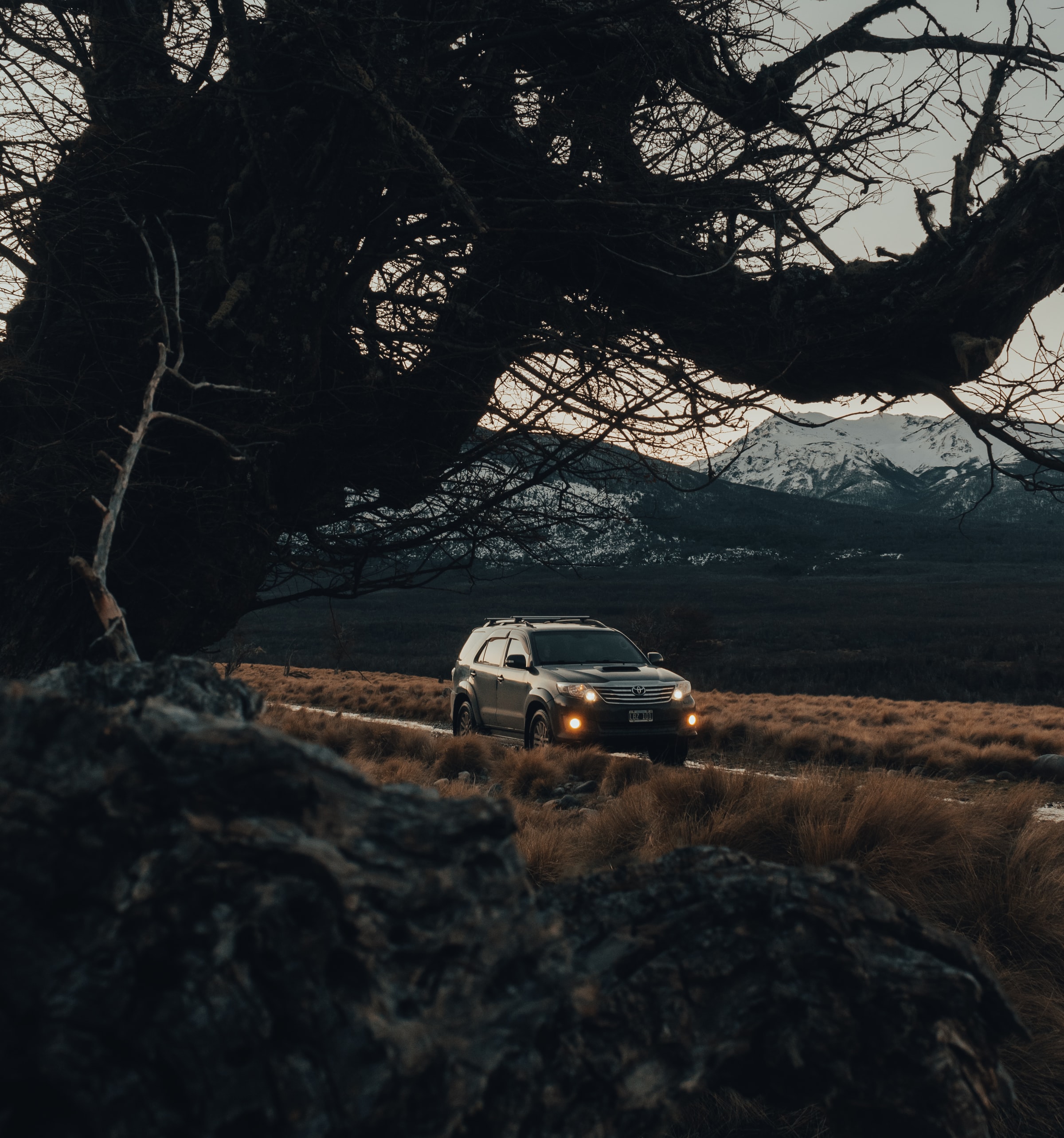 HD wallpaper car, toyota, side view, cars, road, branches, suv
