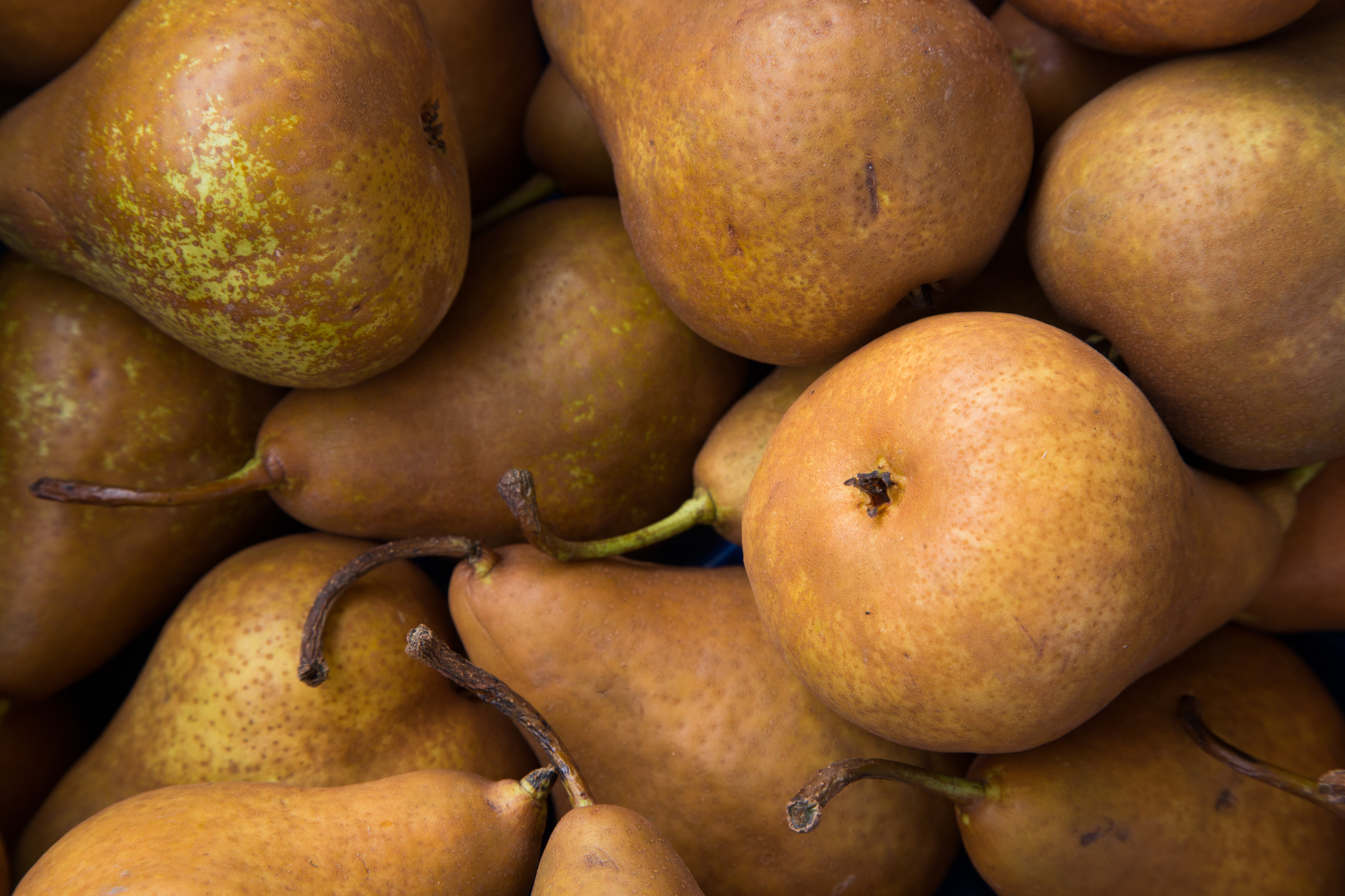 60630 Bildschirmschoner und Hintergrundbilder Pears auf Ihrem Telefon. Laden Sie obst, lebensmittel, pears, reif Bilder kostenlos herunter