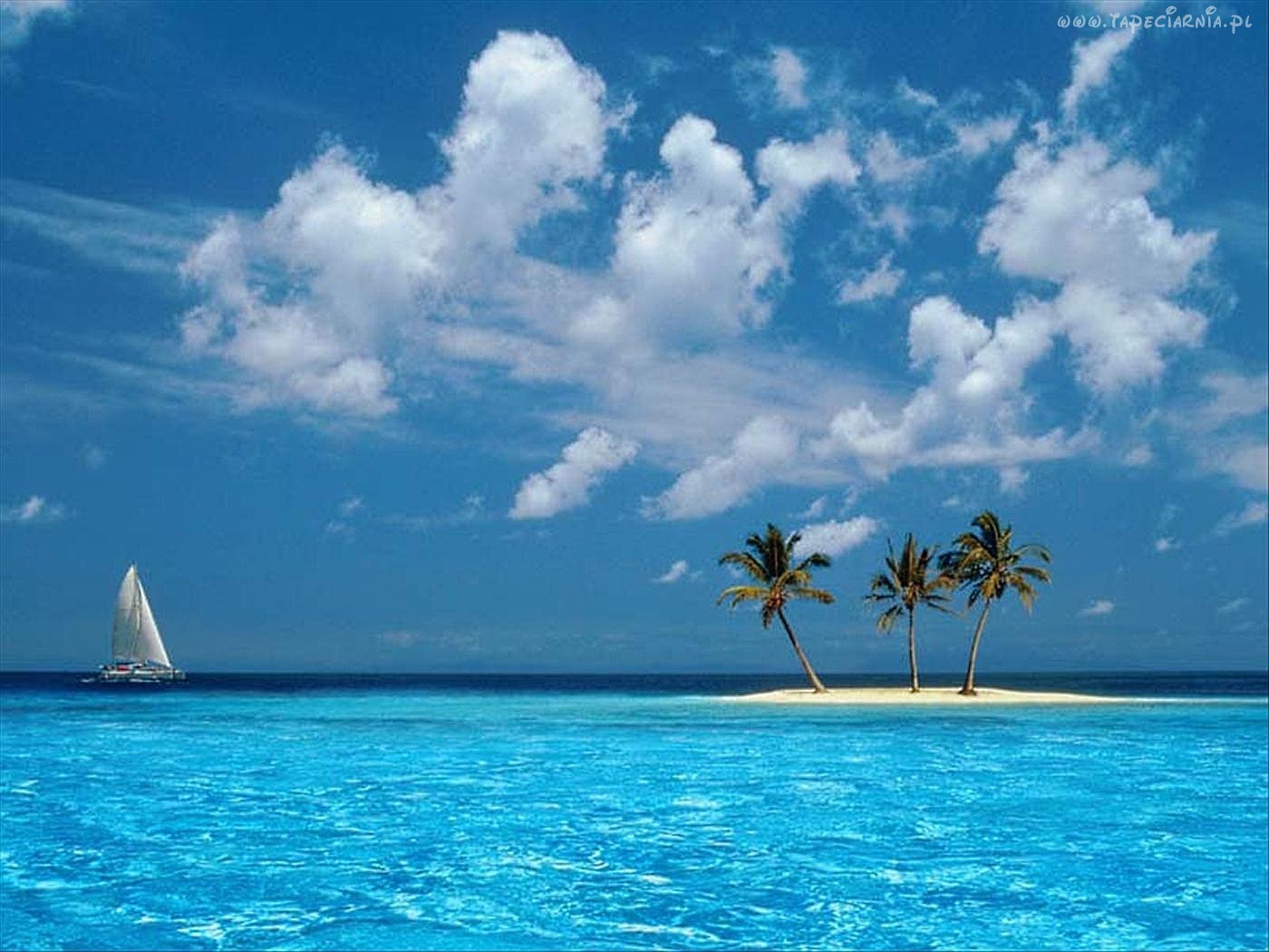 22239 baixar papel de parede paisagem, palms, mar, praia, nuvens, azul - protetores de tela e imagens gratuitamente