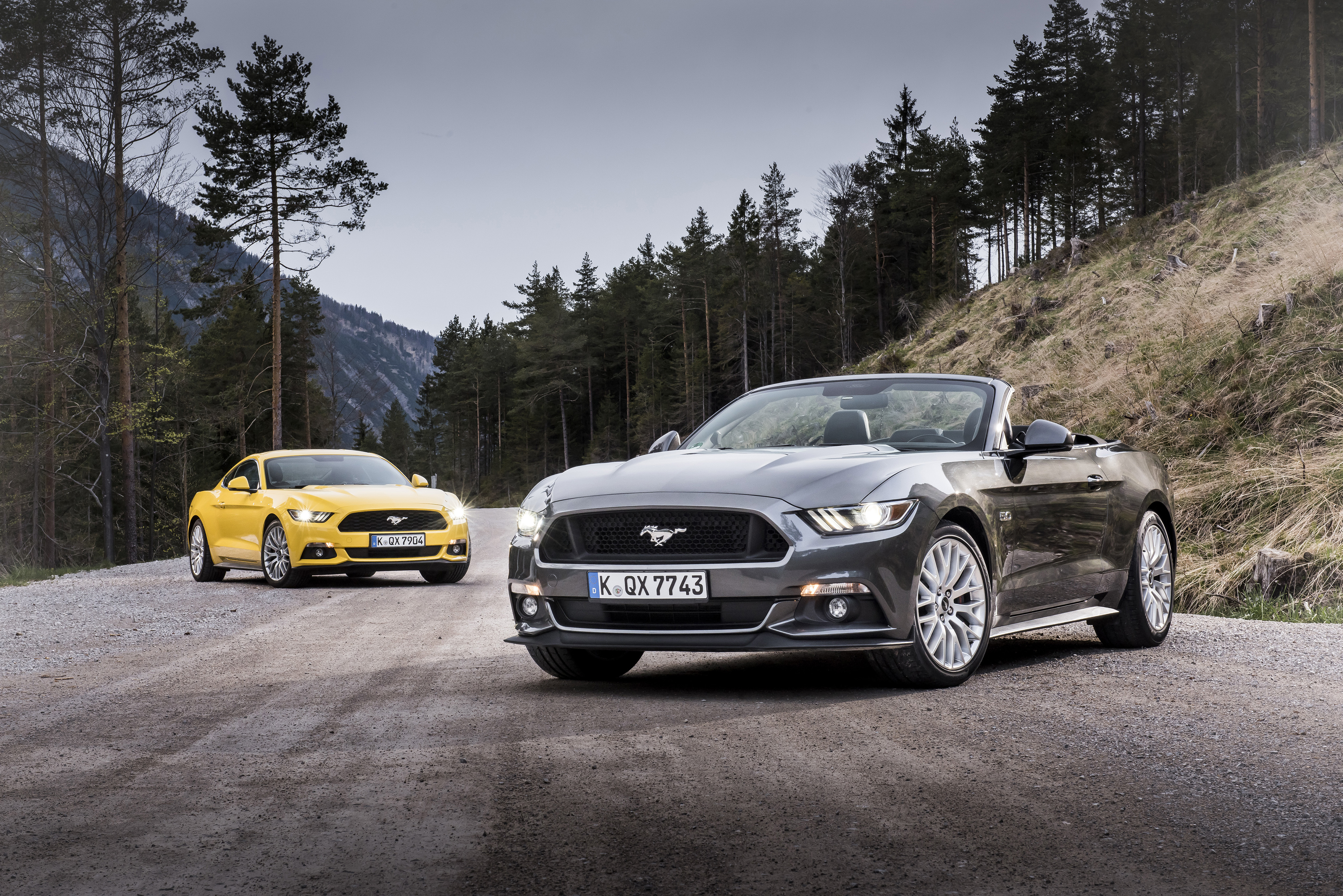 ford mustang, cars, road, cabriolet